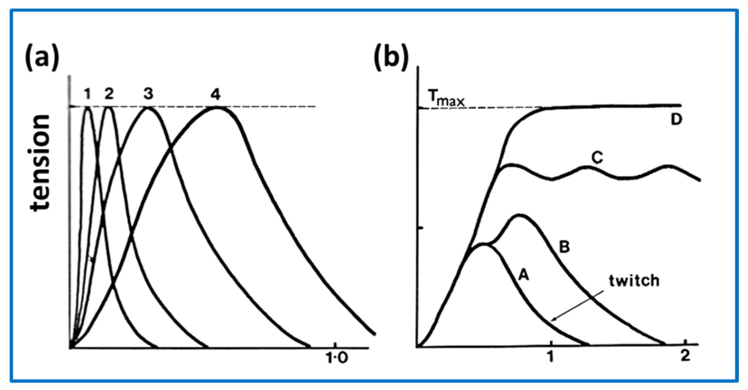 Ijms 20 05715 g011 Ijms 20 05715 g011