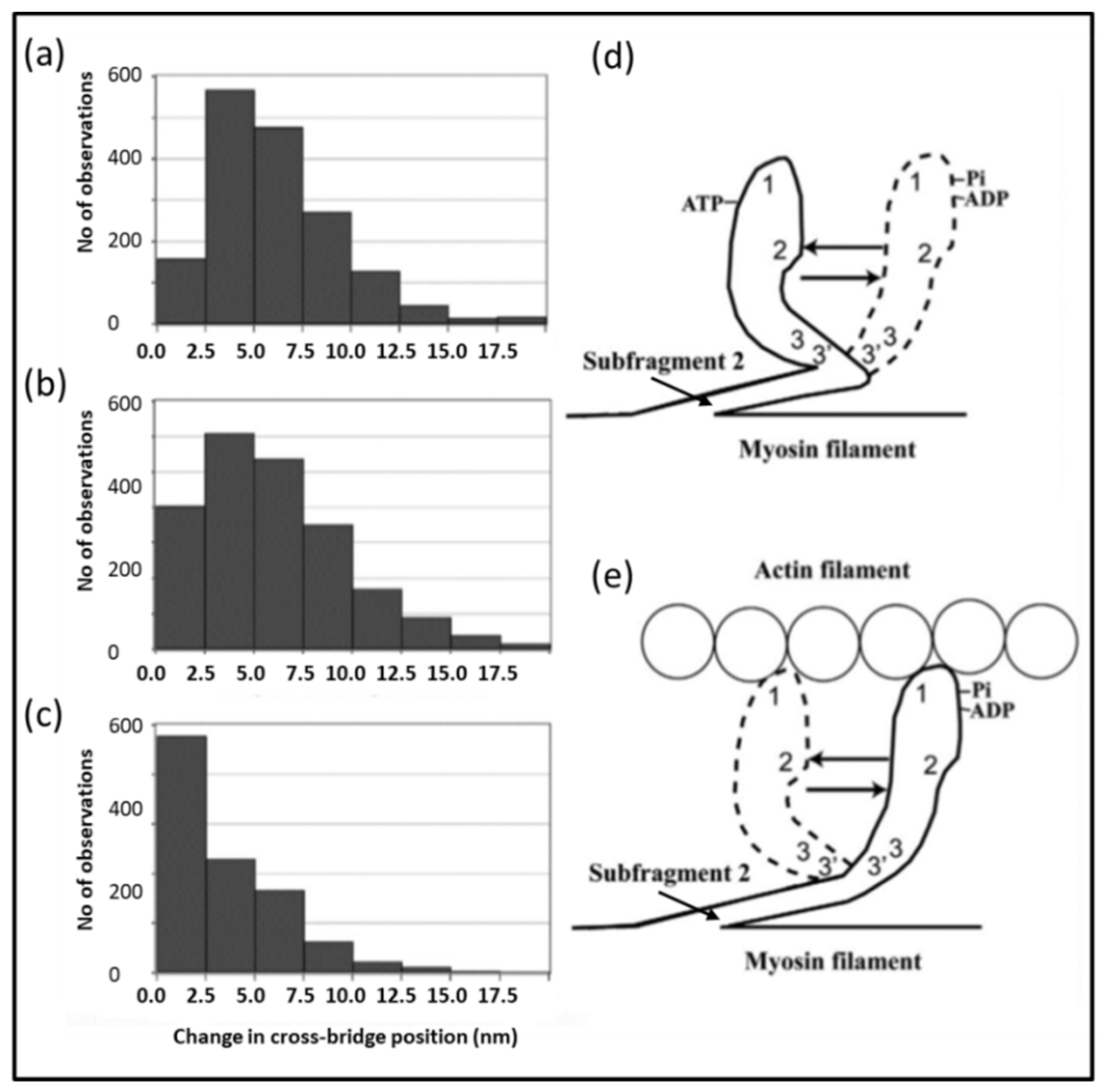 Ijms 20 05715 g020 Ijms 20 05715 g020