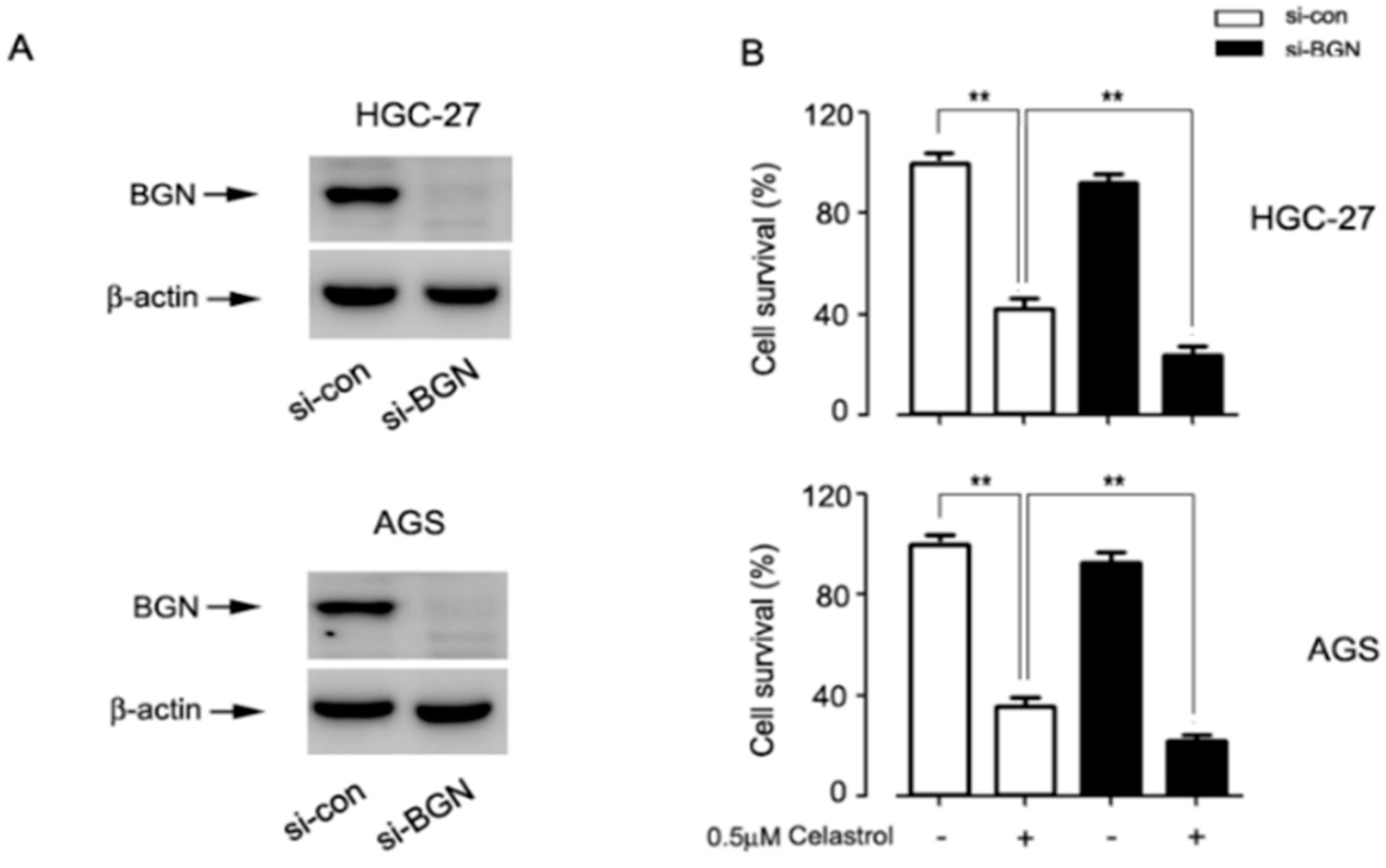 Ijms 20 05716 g0a1 Ijms 20 05716 g0a1