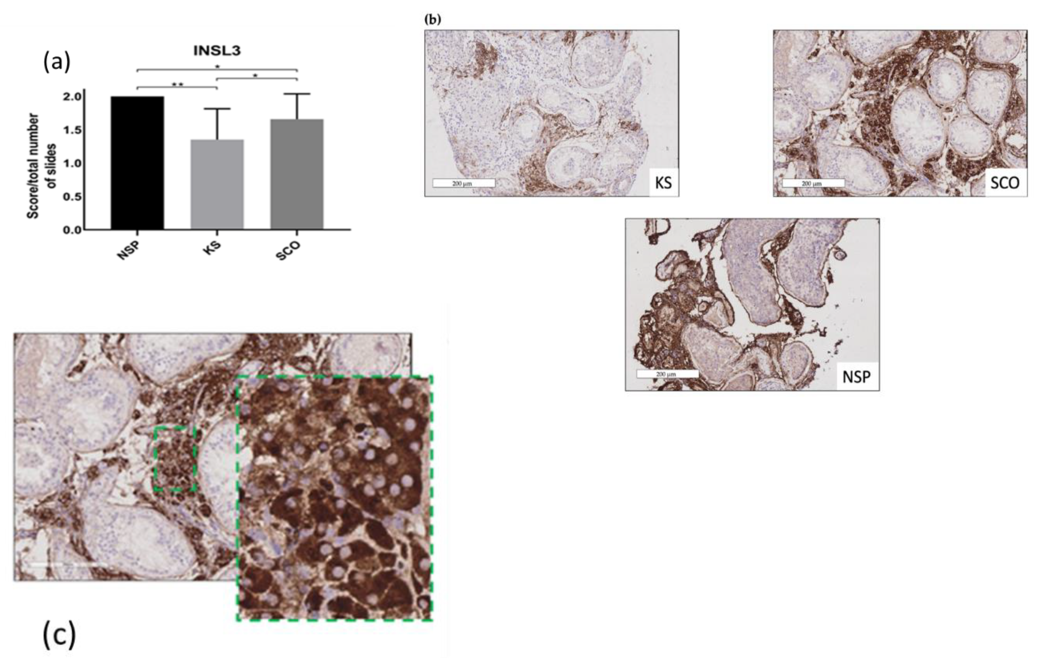 Ijms 20 05717 g003 Ijms 20 05717 g003