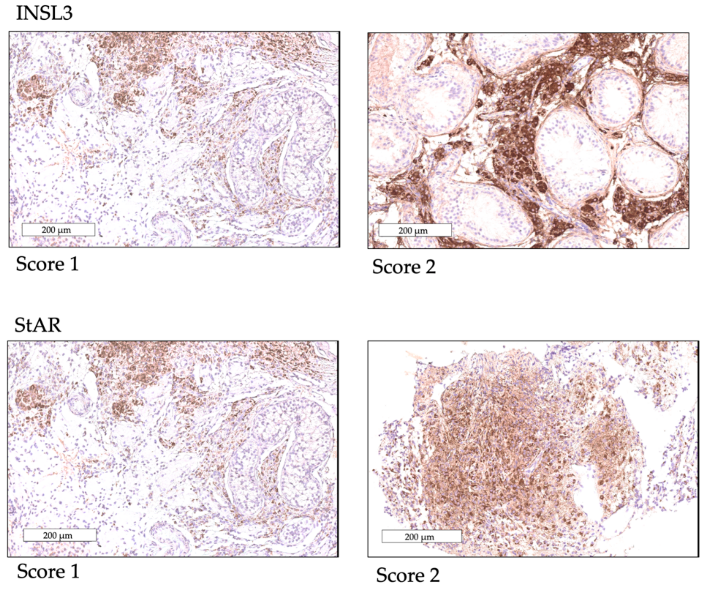 Ijms 20 05717 g005 Ijms 20 05717 g005