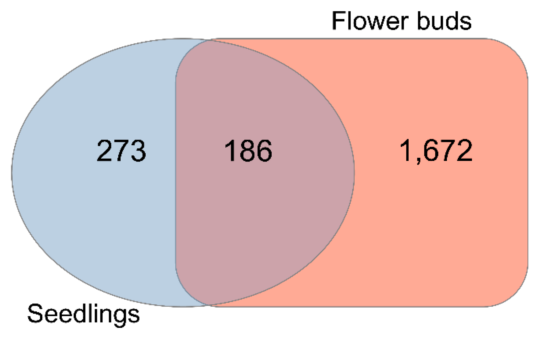 Ijms 20 05726 g001 Ijms 20 05726 g001