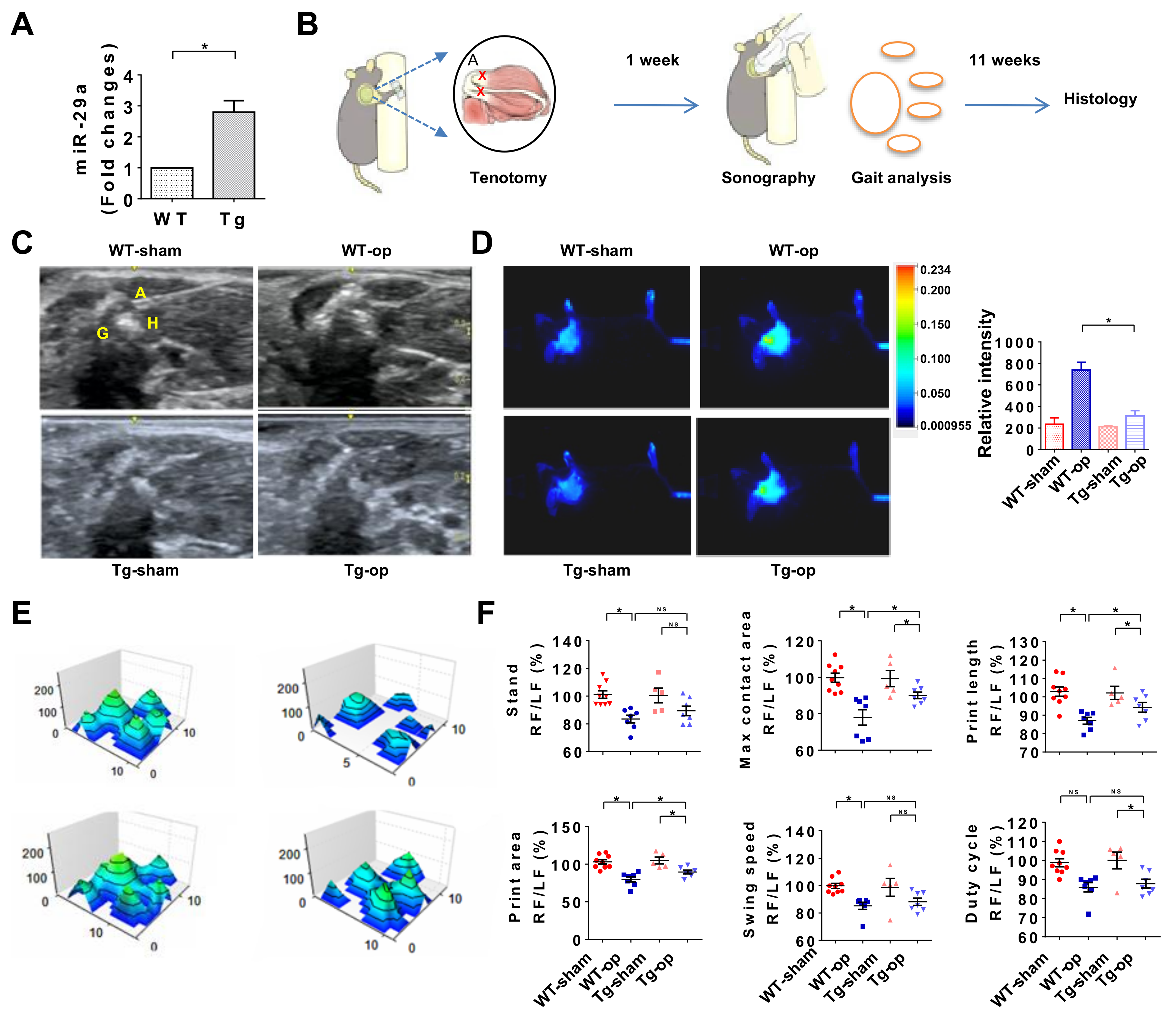 Ijms 20 05742 g003 Ijms 20 05742 g003