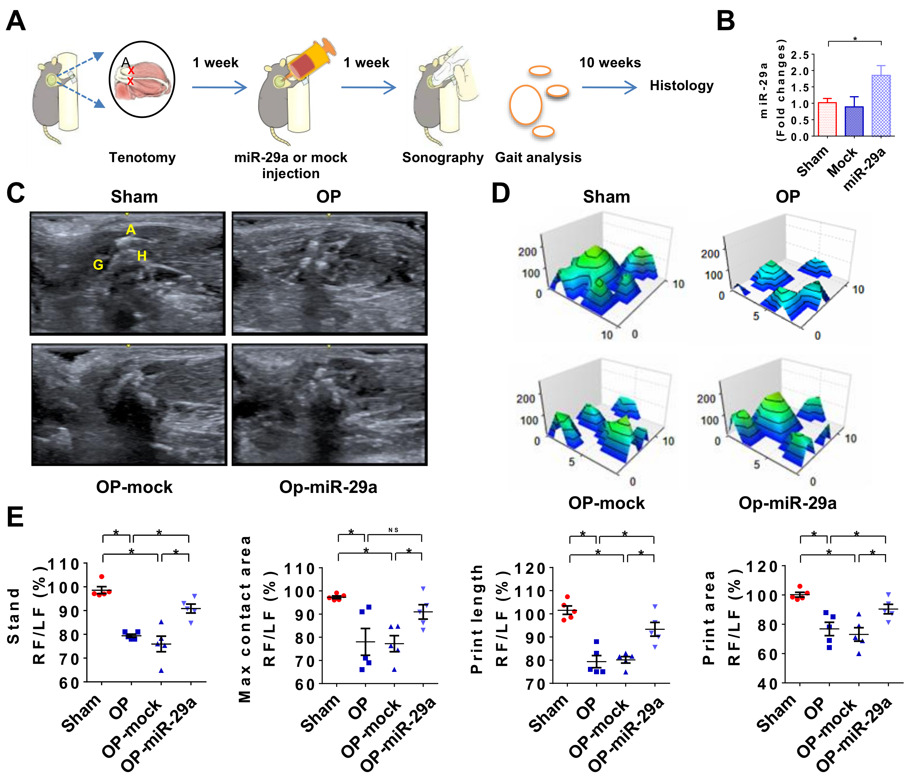 Ijms 20 05742 g005 Ijms 20 05742 g005