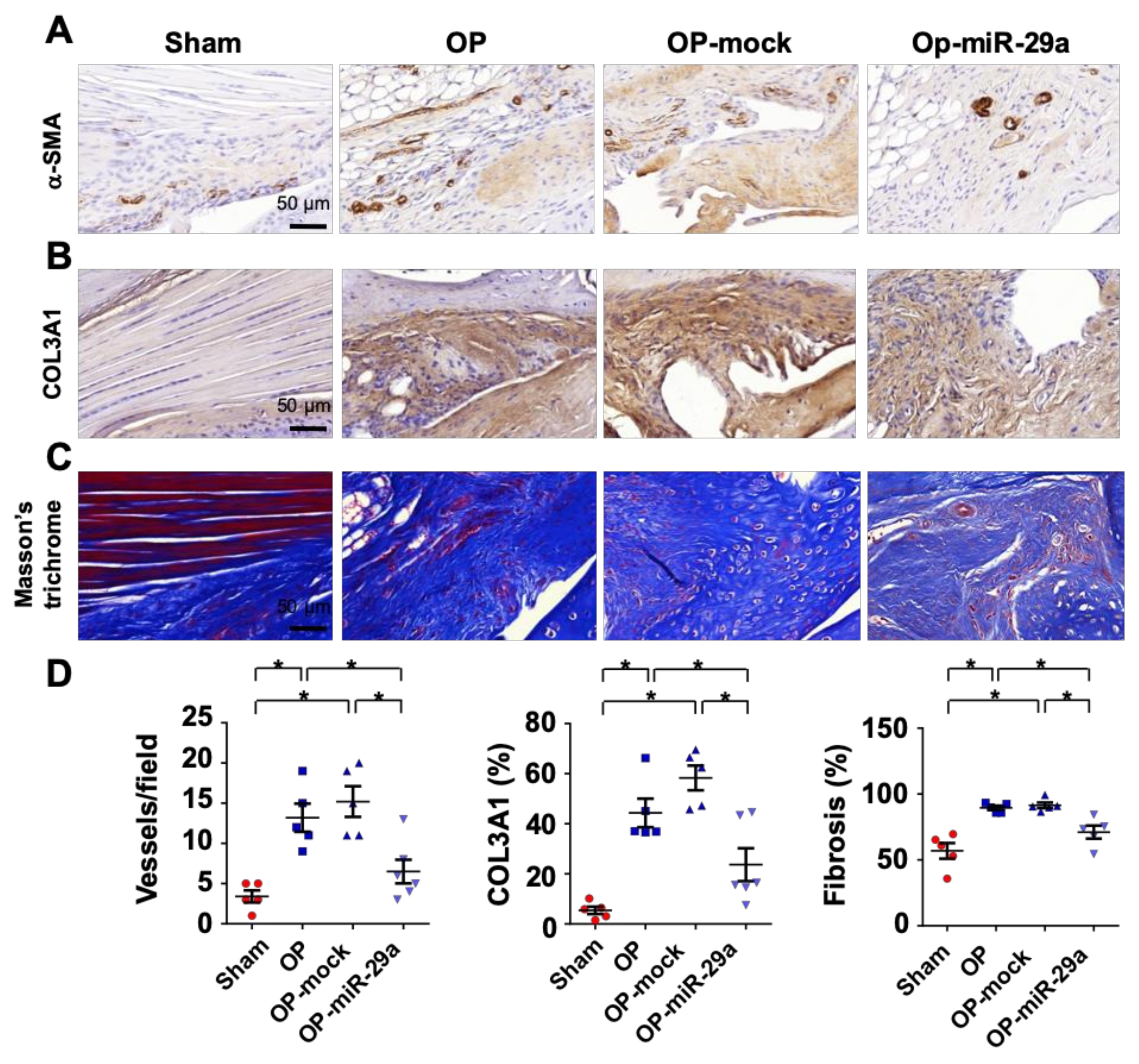 Ijms 20 05742 g006 Ijms 20 05742 g006