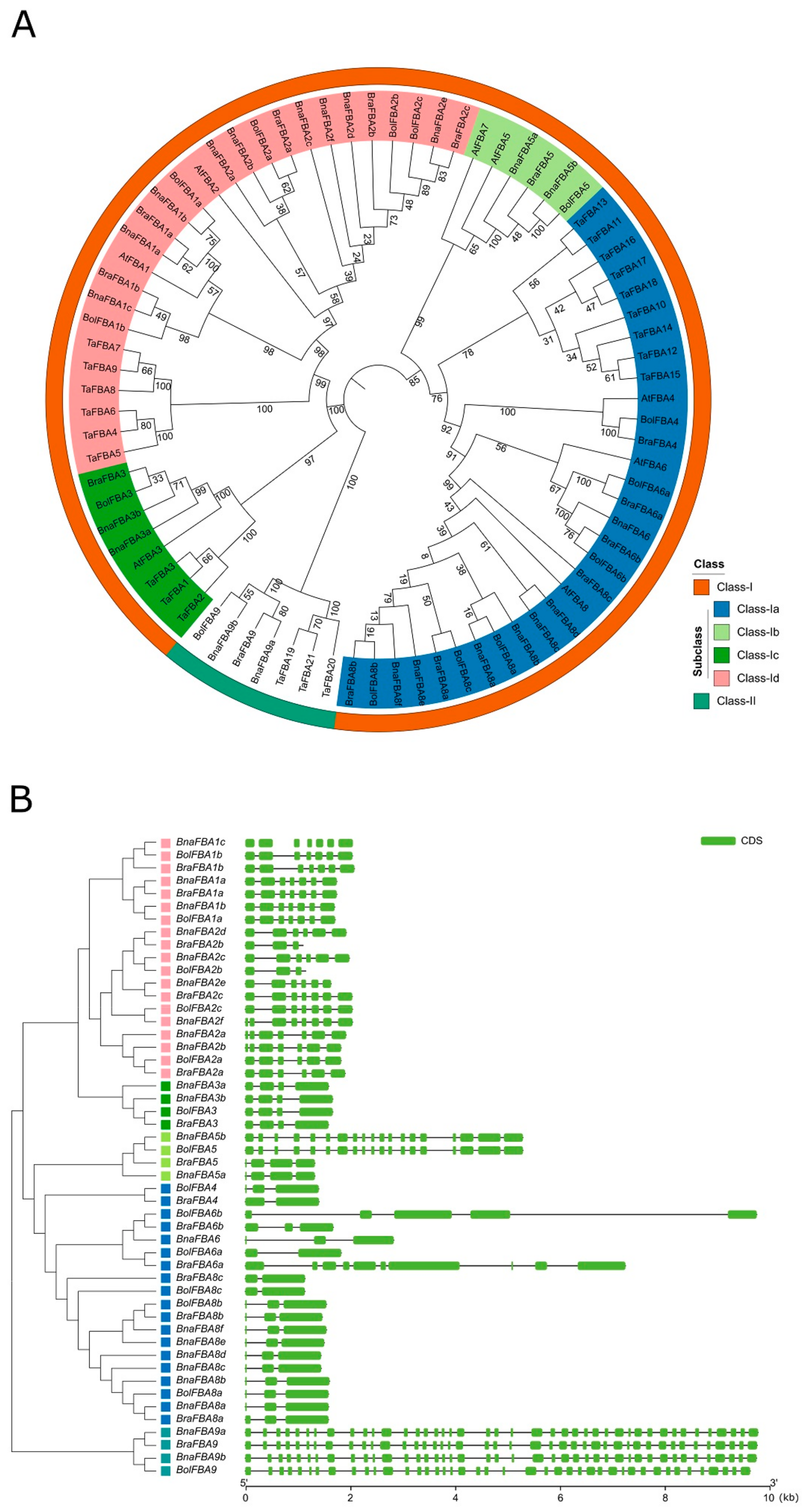 Ijms 20 05749 g002 Ijms 20 05749 g002