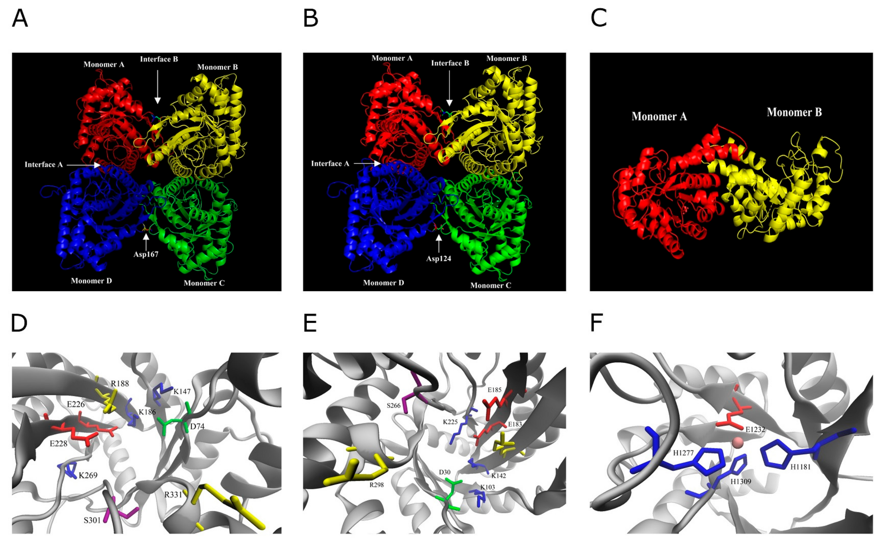 Ijms 20 05749 g003 Ijms 20 05749 g003