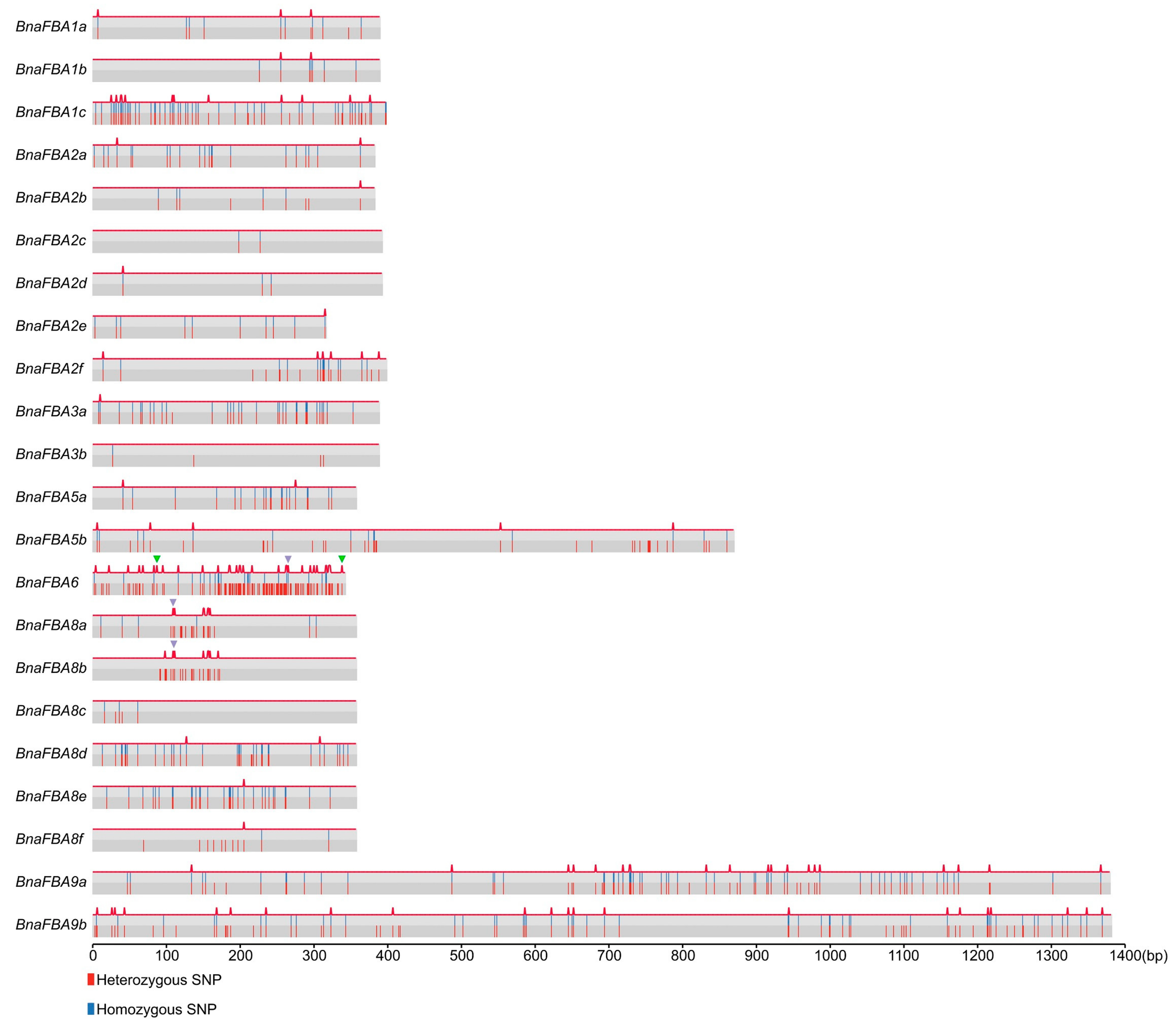 Ijms 20 05749 g005 Ijms 20 05749 g005