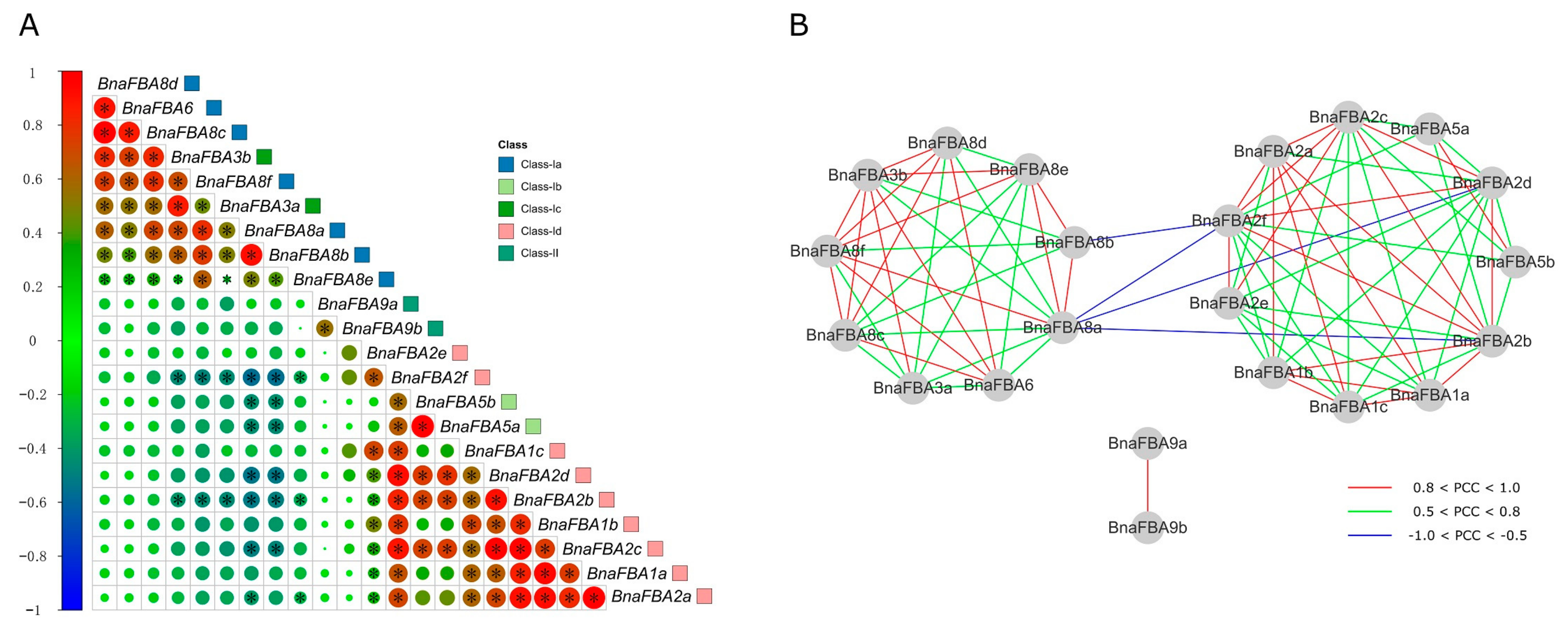 Ijms 20 05749 g008 Ijms 20 05749 g008