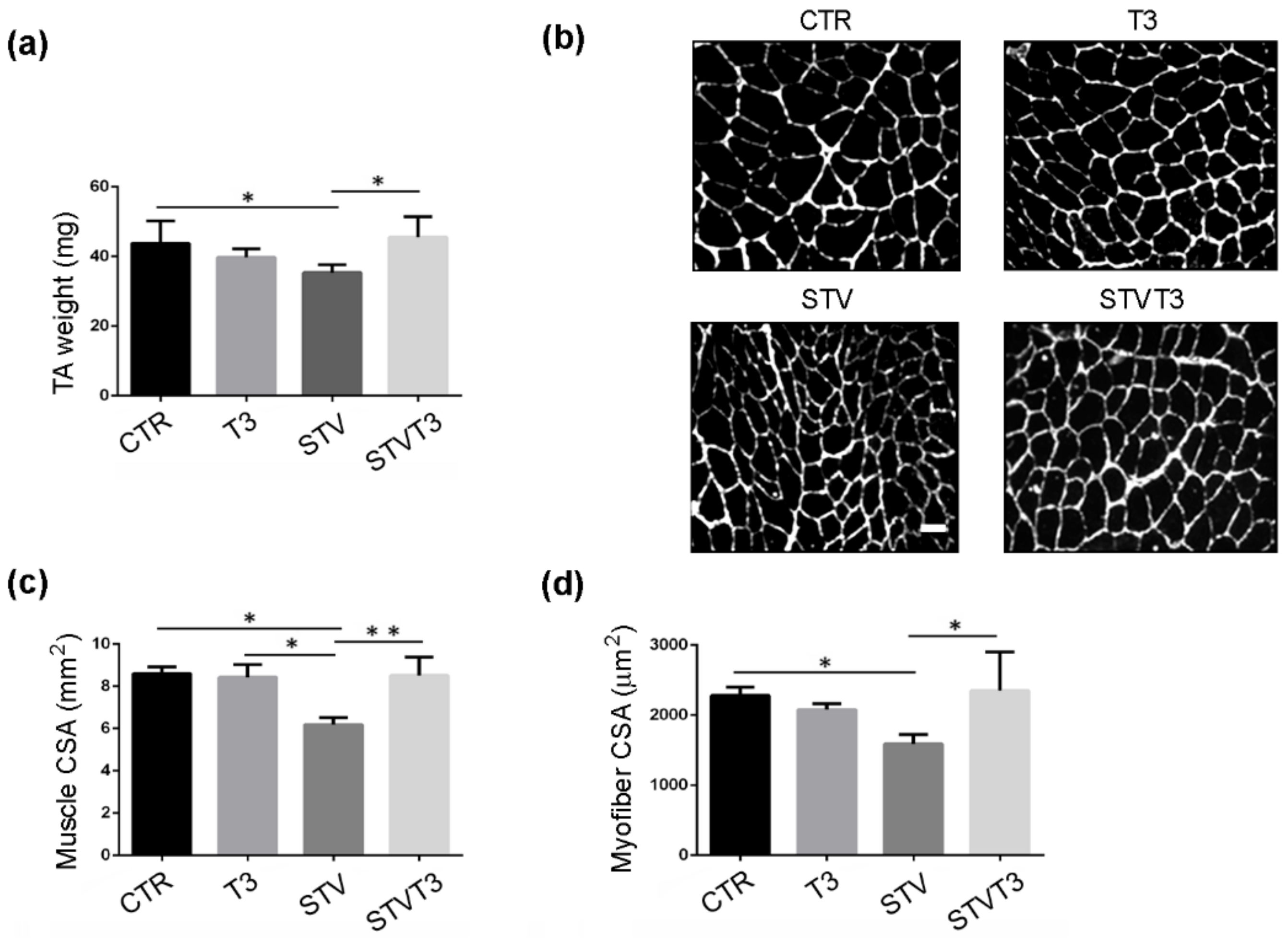 Ijms 20 05754 g001 Ijms 20 05754 g001