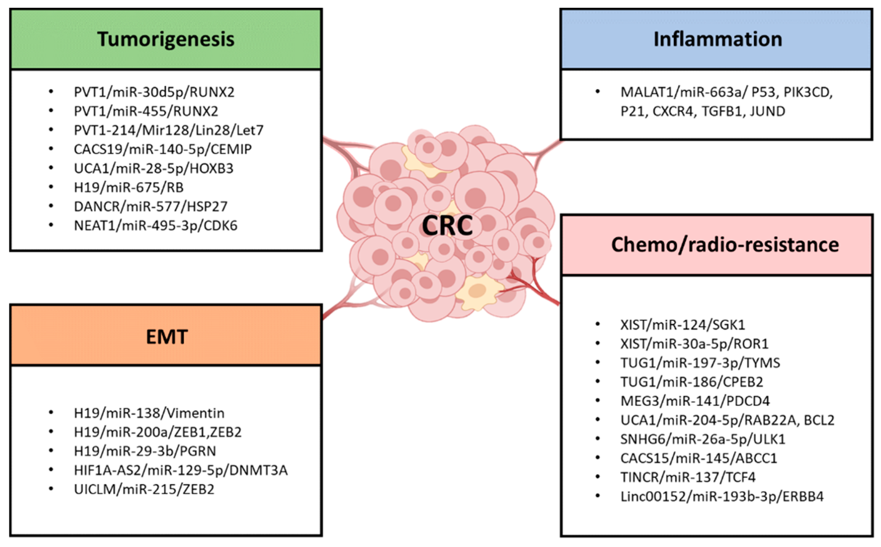 Ijms 20 05758 g003 Ijms 20 05758 g003