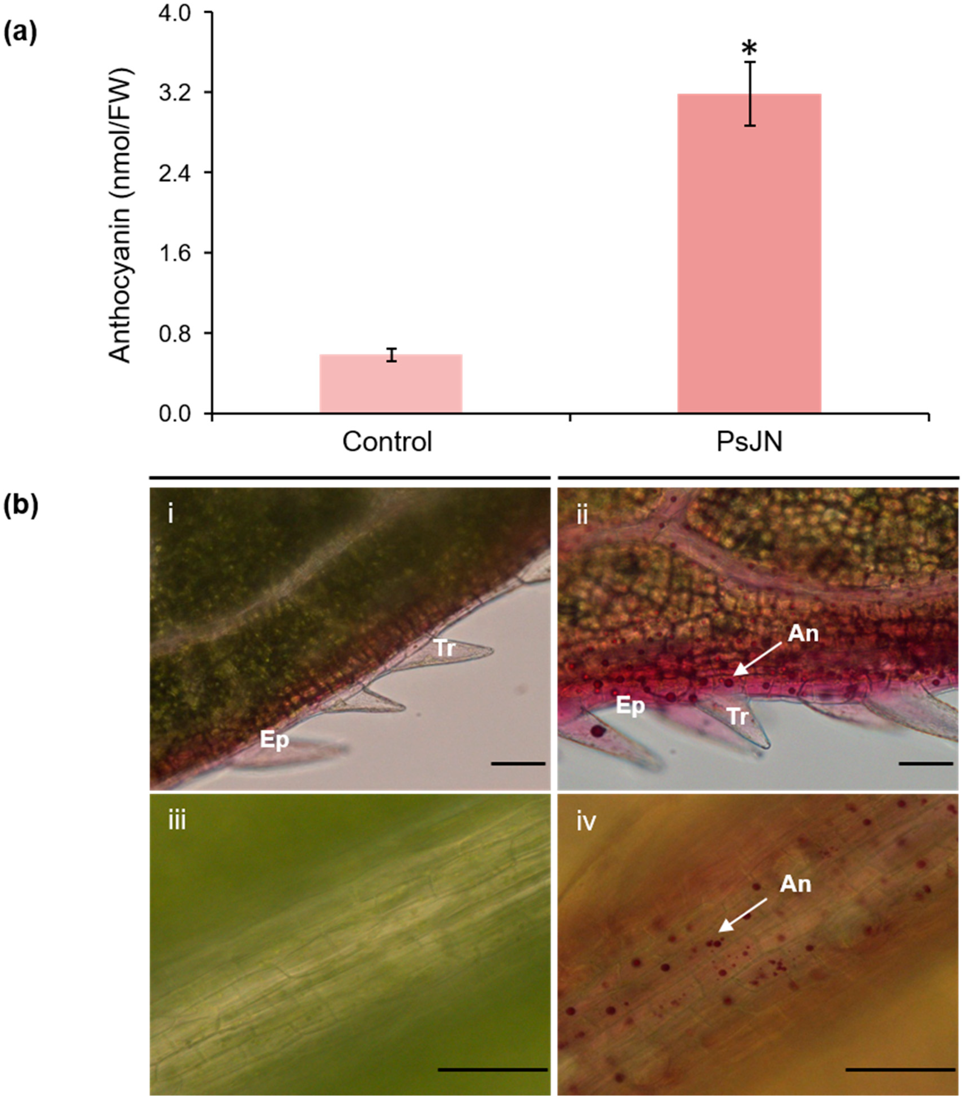 Ijms 20 05775 g002 Ijms 20 05775 g002
