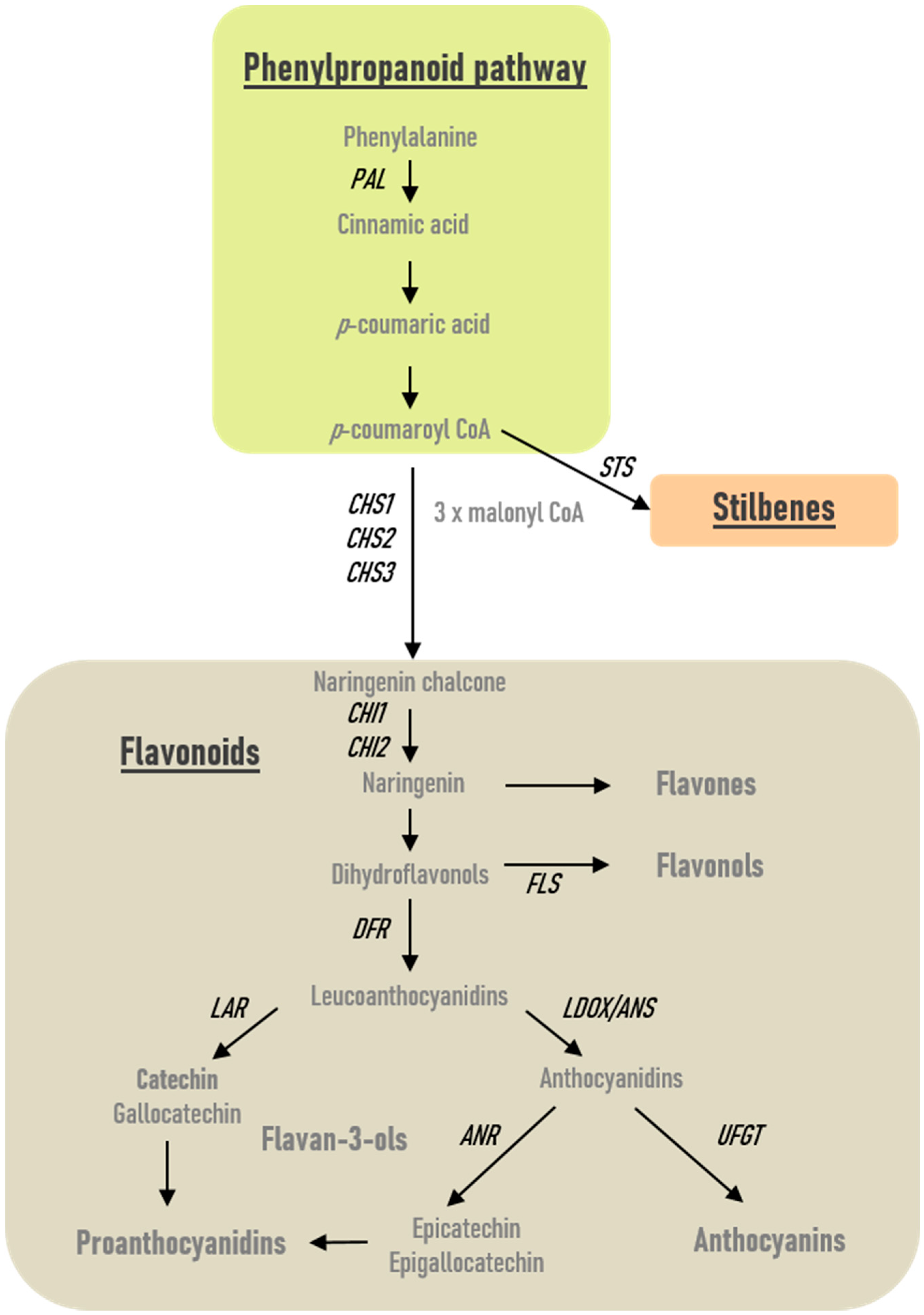 Ijms 20 05775 g003 Ijms 20 05775 g003