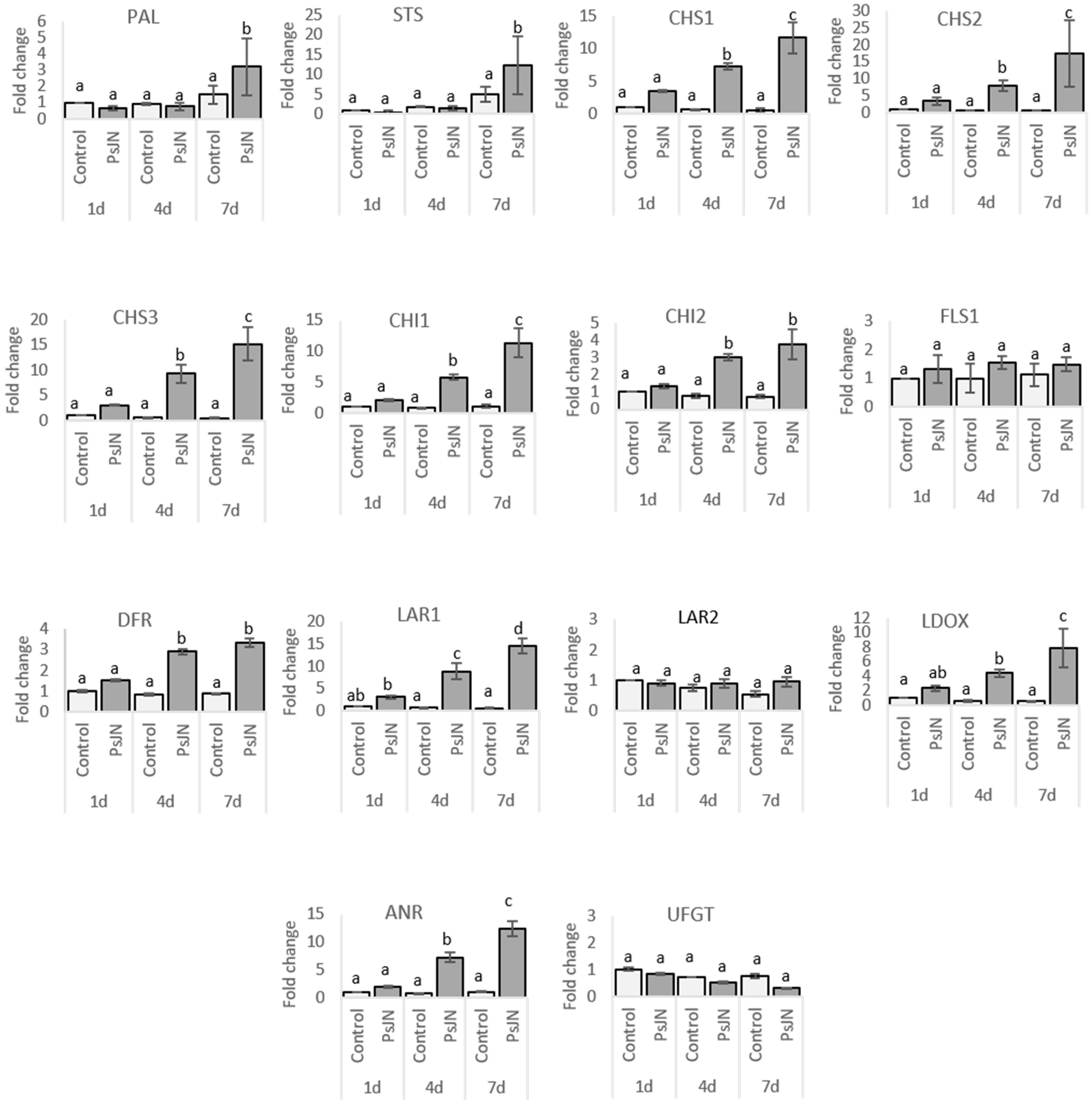 Ijms 20 05775 g005 Ijms 20 05775 g005