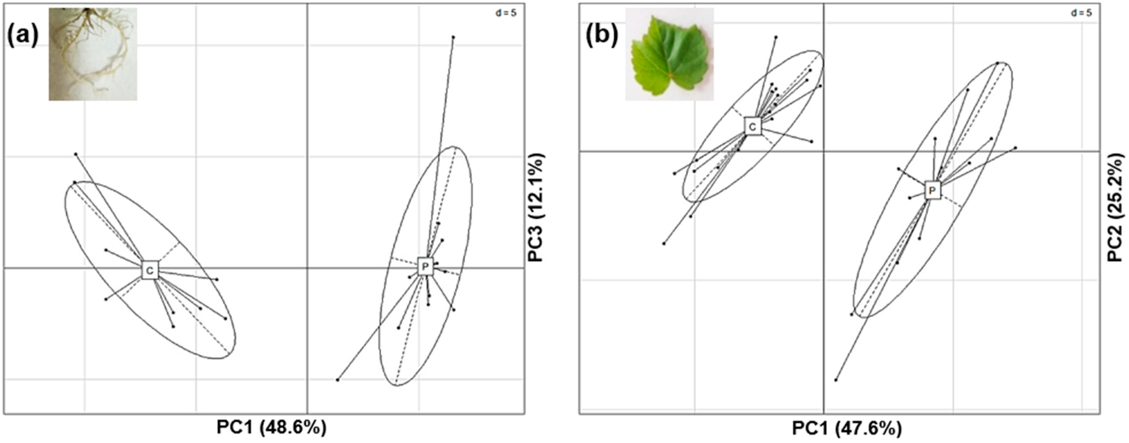 Ijms 20 05775 g006 Ijms 20 05775 g006