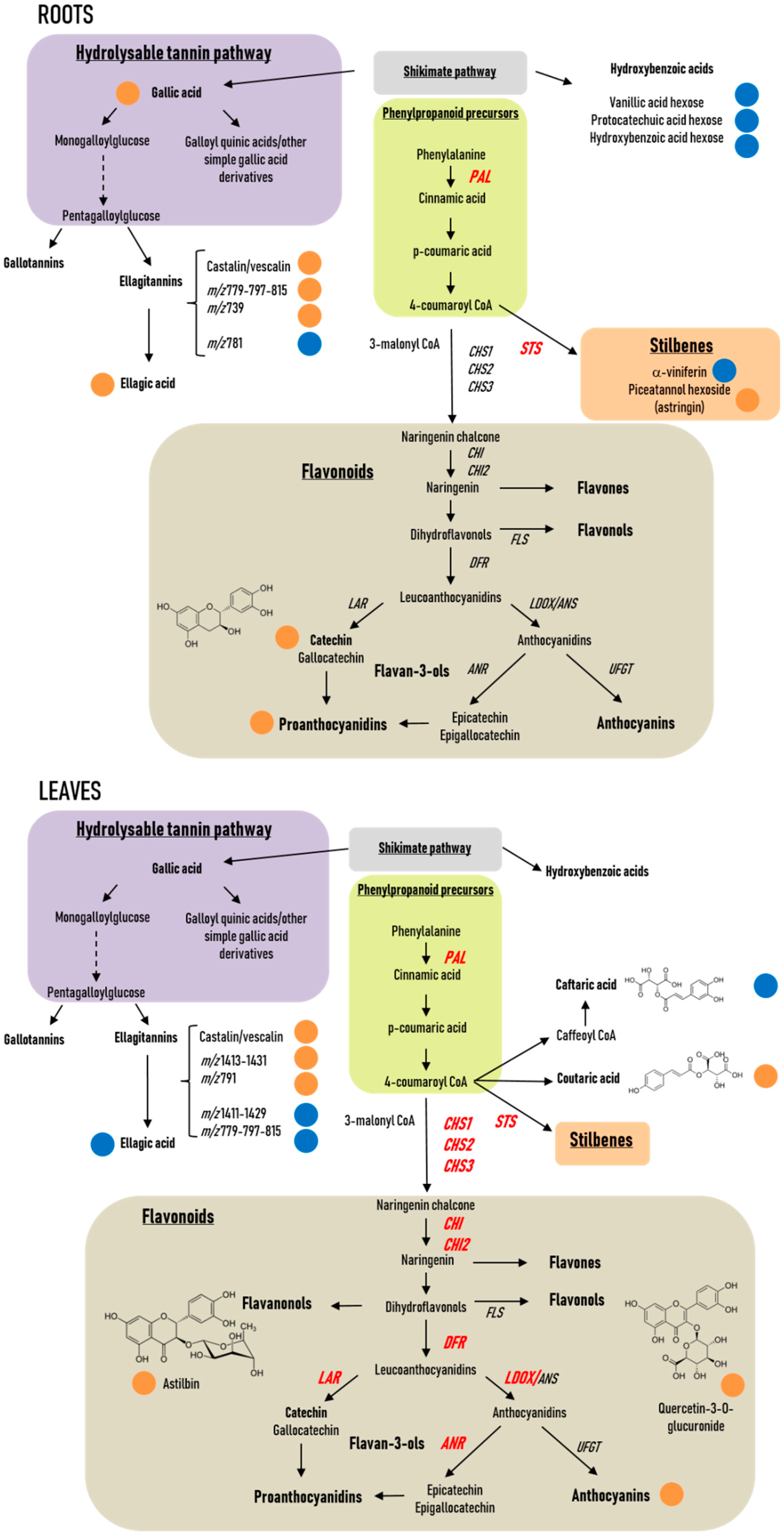 Ijms 20 05775 g010 Ijms 20 05775 g010