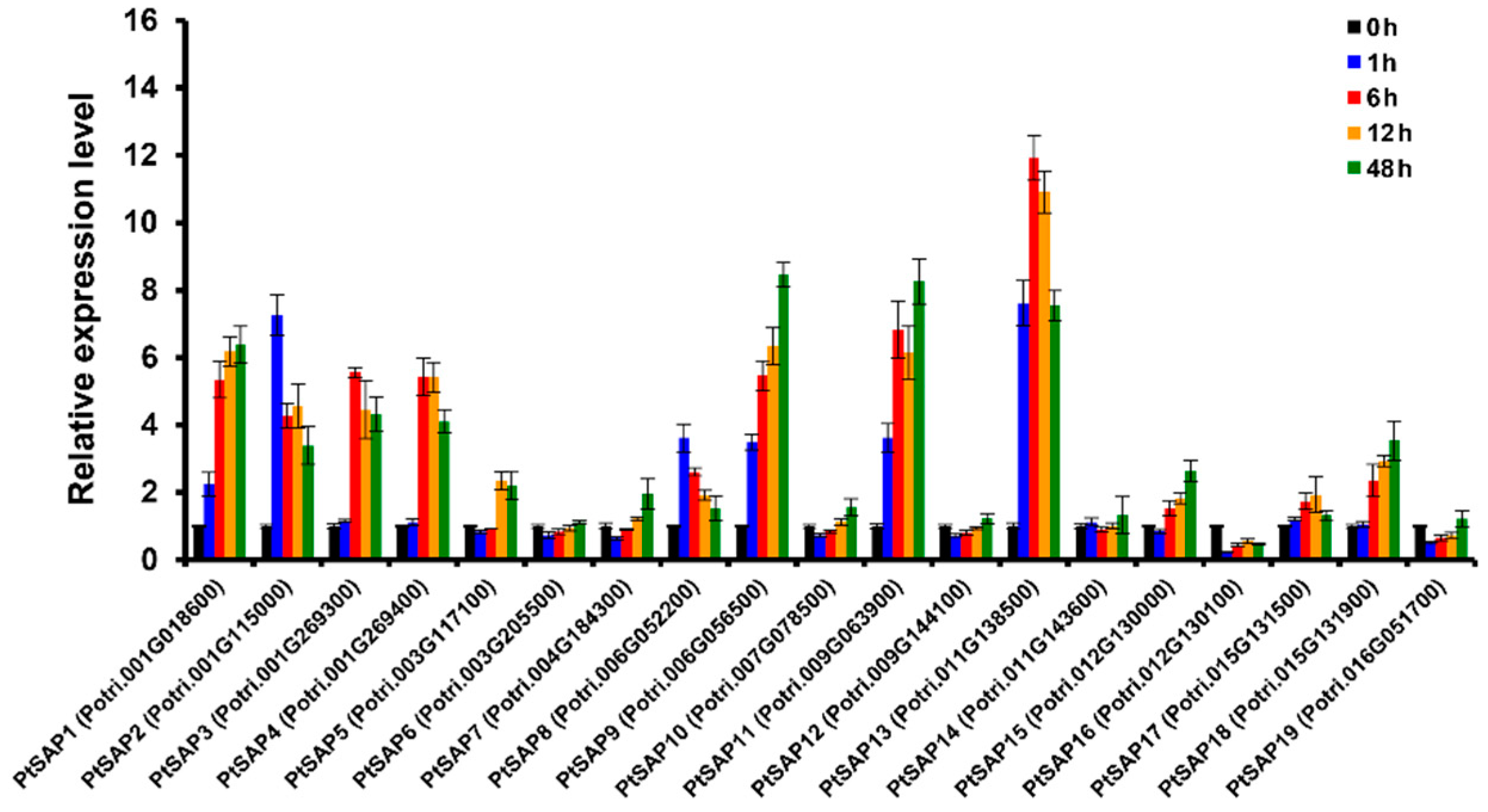 Ijms 20 05782 g002 Ijms 20 05782 g002