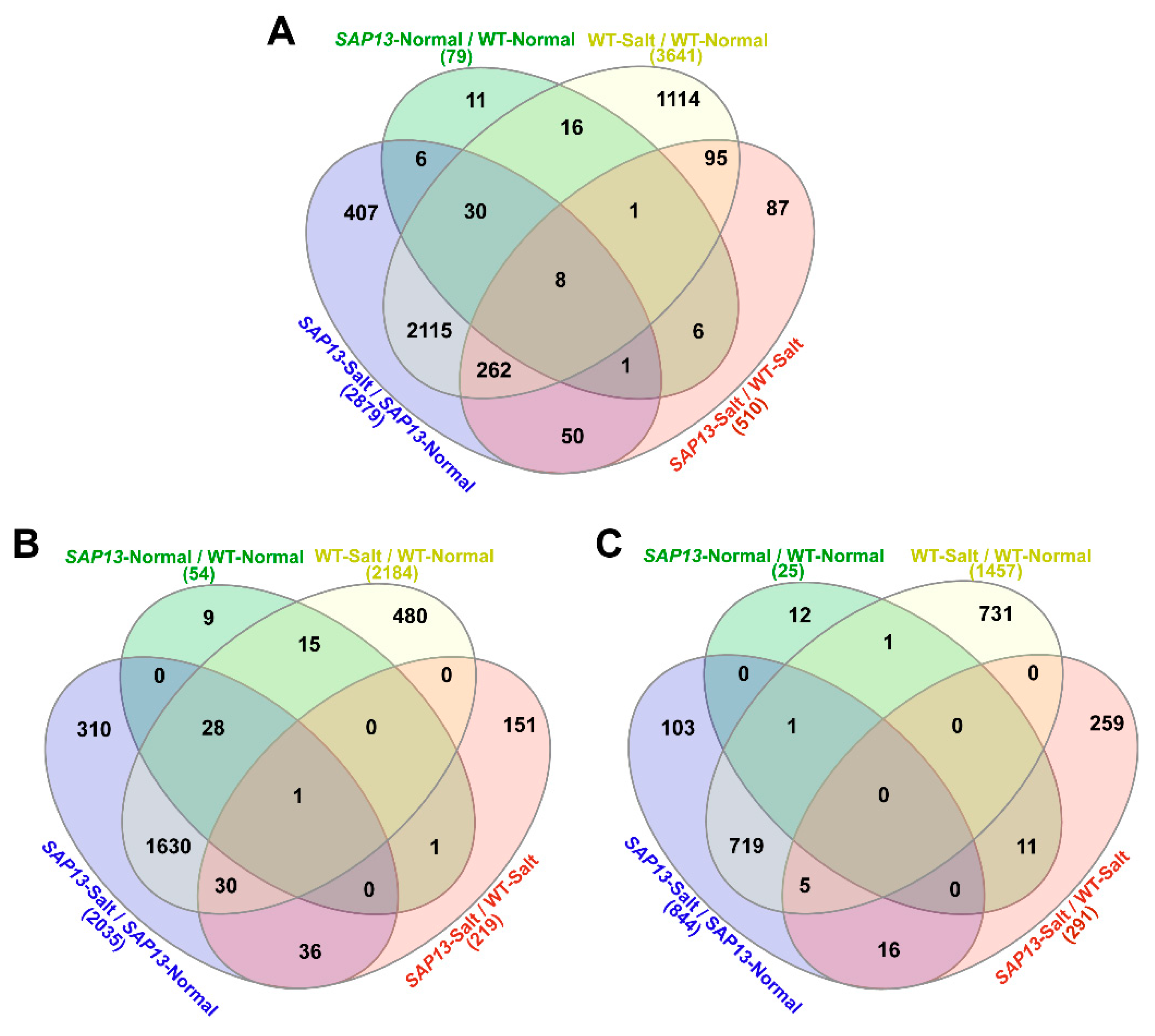 Ijms 20 05782 g006 Ijms 20 05782 g006