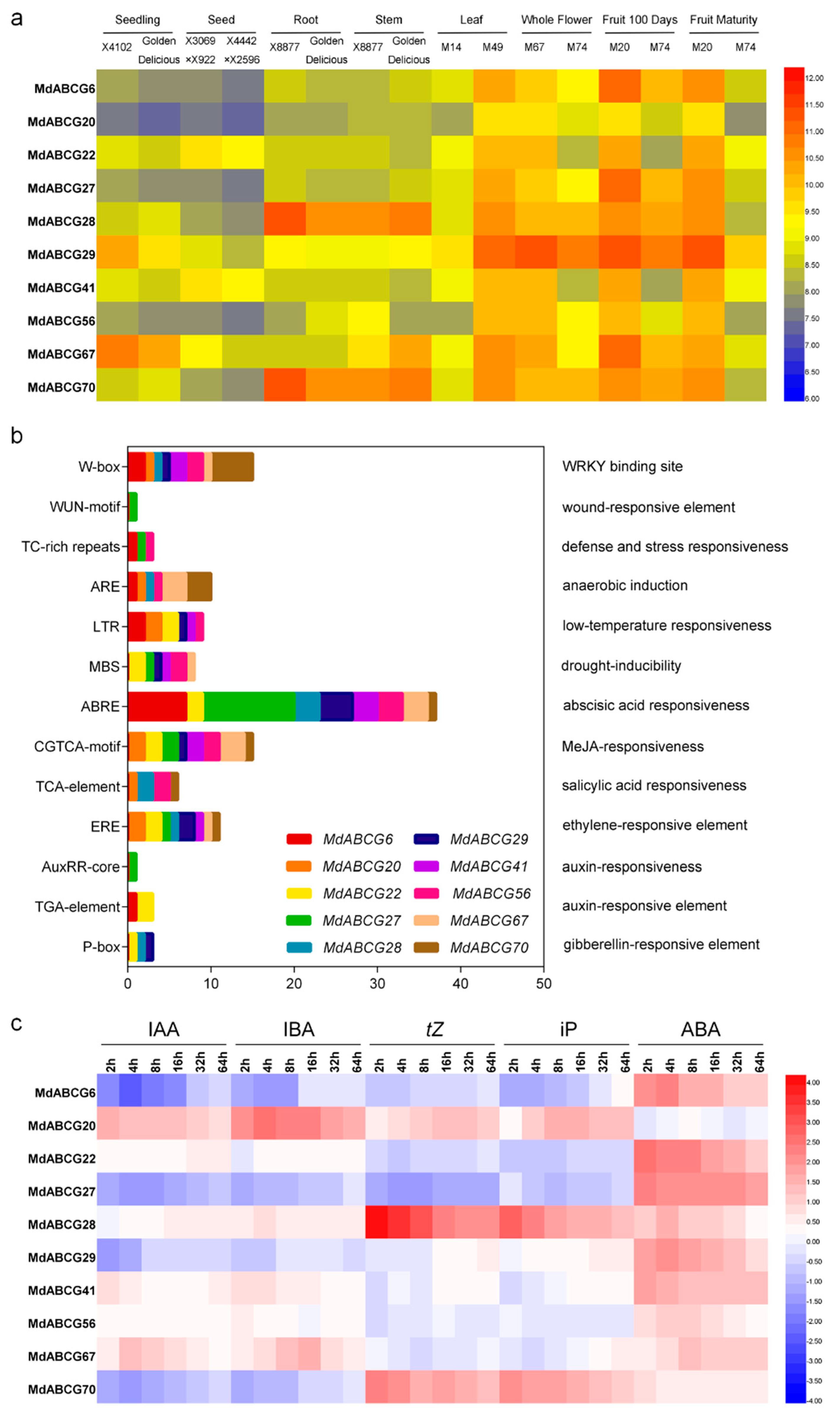 Ijms 20 05783 g003 Ijms 20 05783 g003