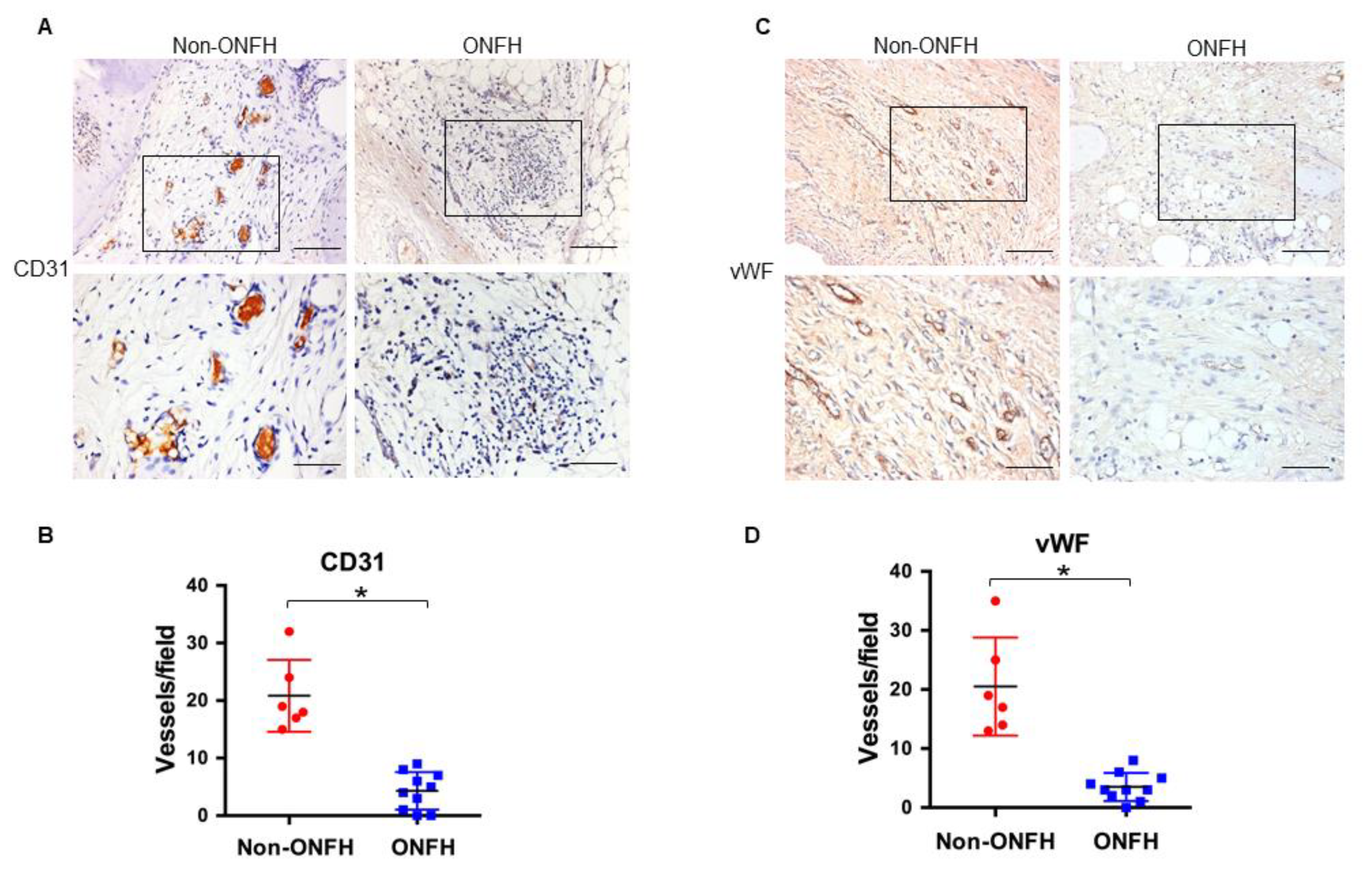 Ijms 20 05786 g005 Ijms 20 05786 g005