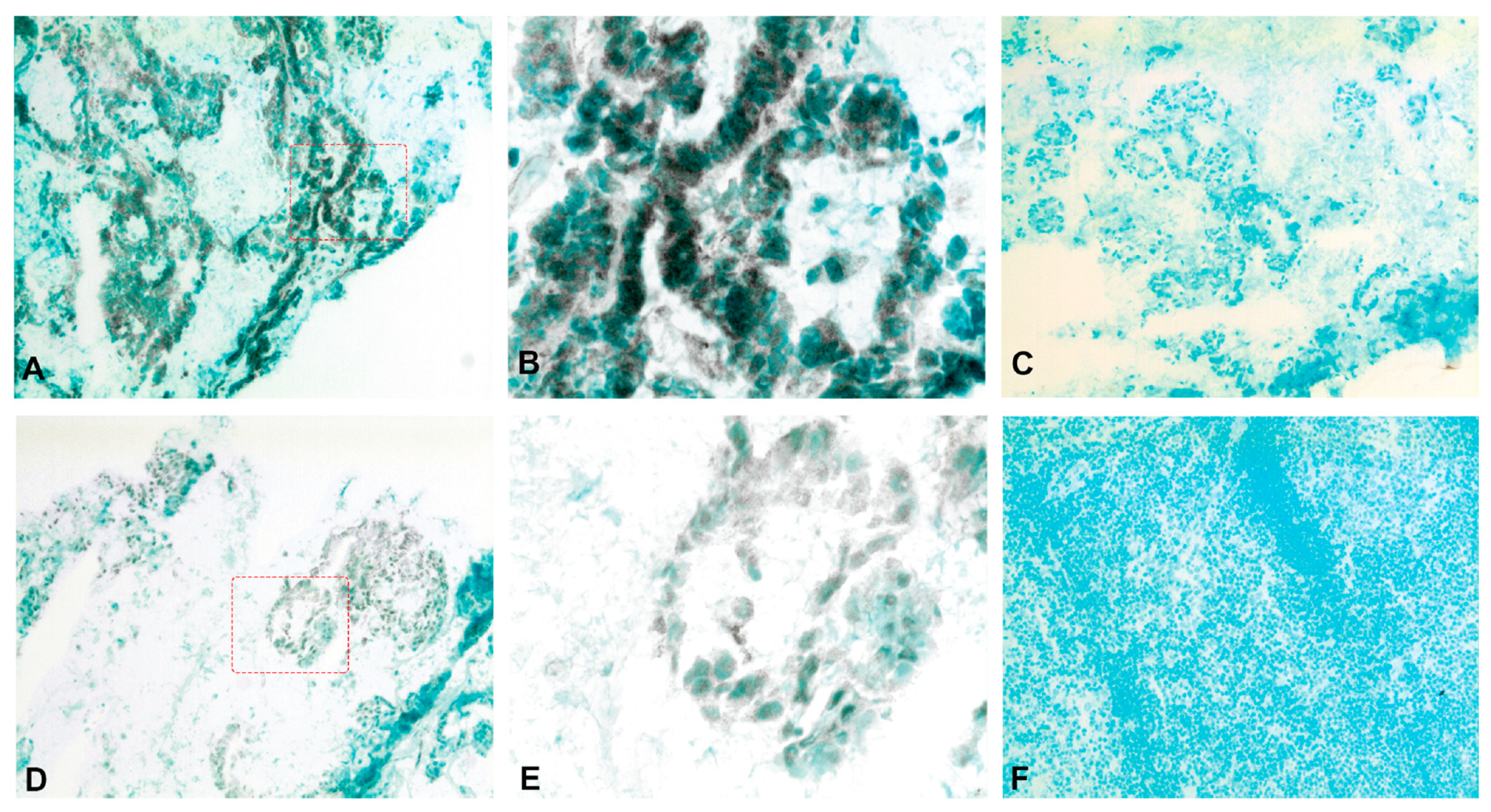 Ijms 20 05793 g007 550