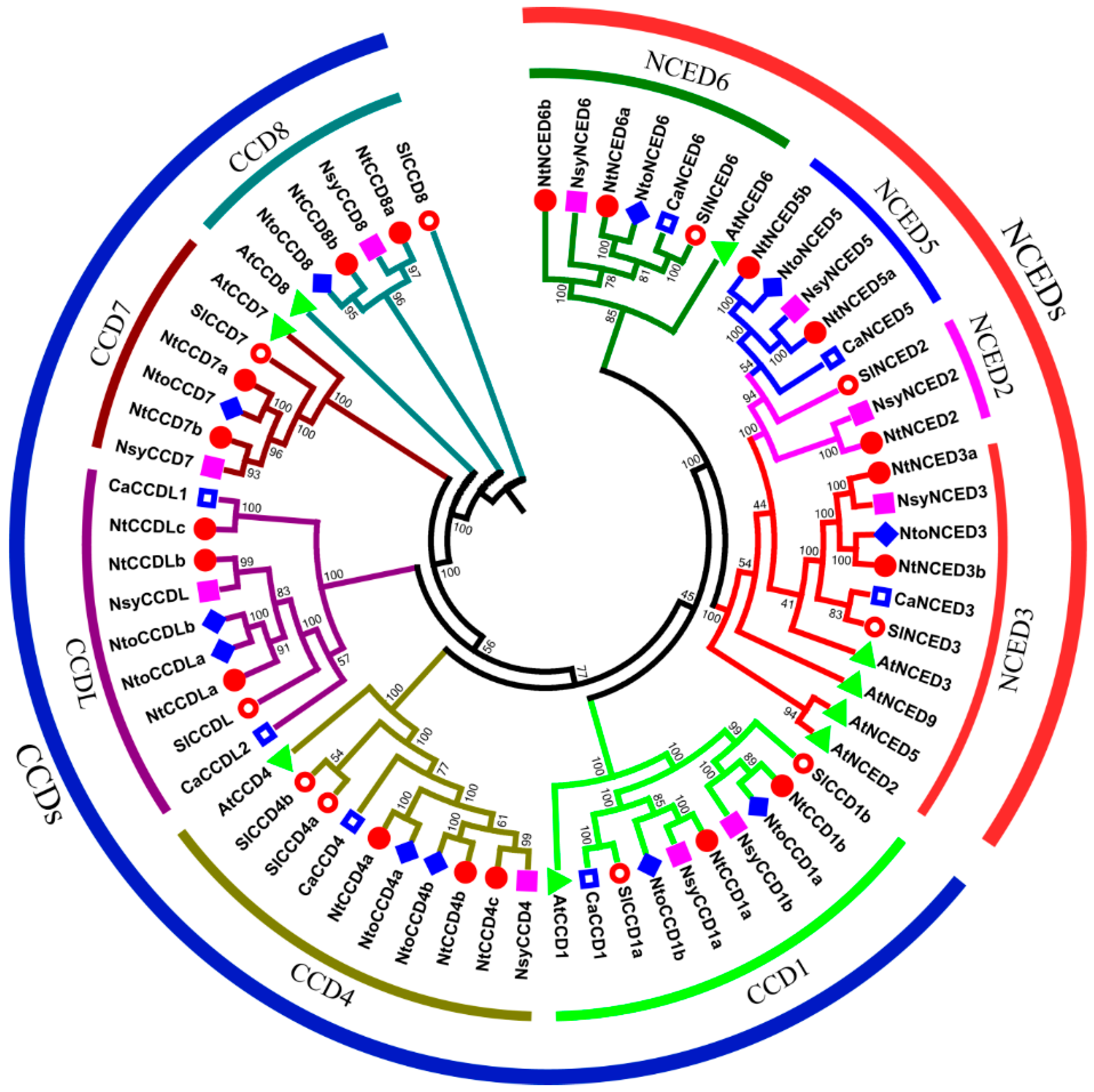 Ijms 20 05796 g001 Ijms 20 05796 g001