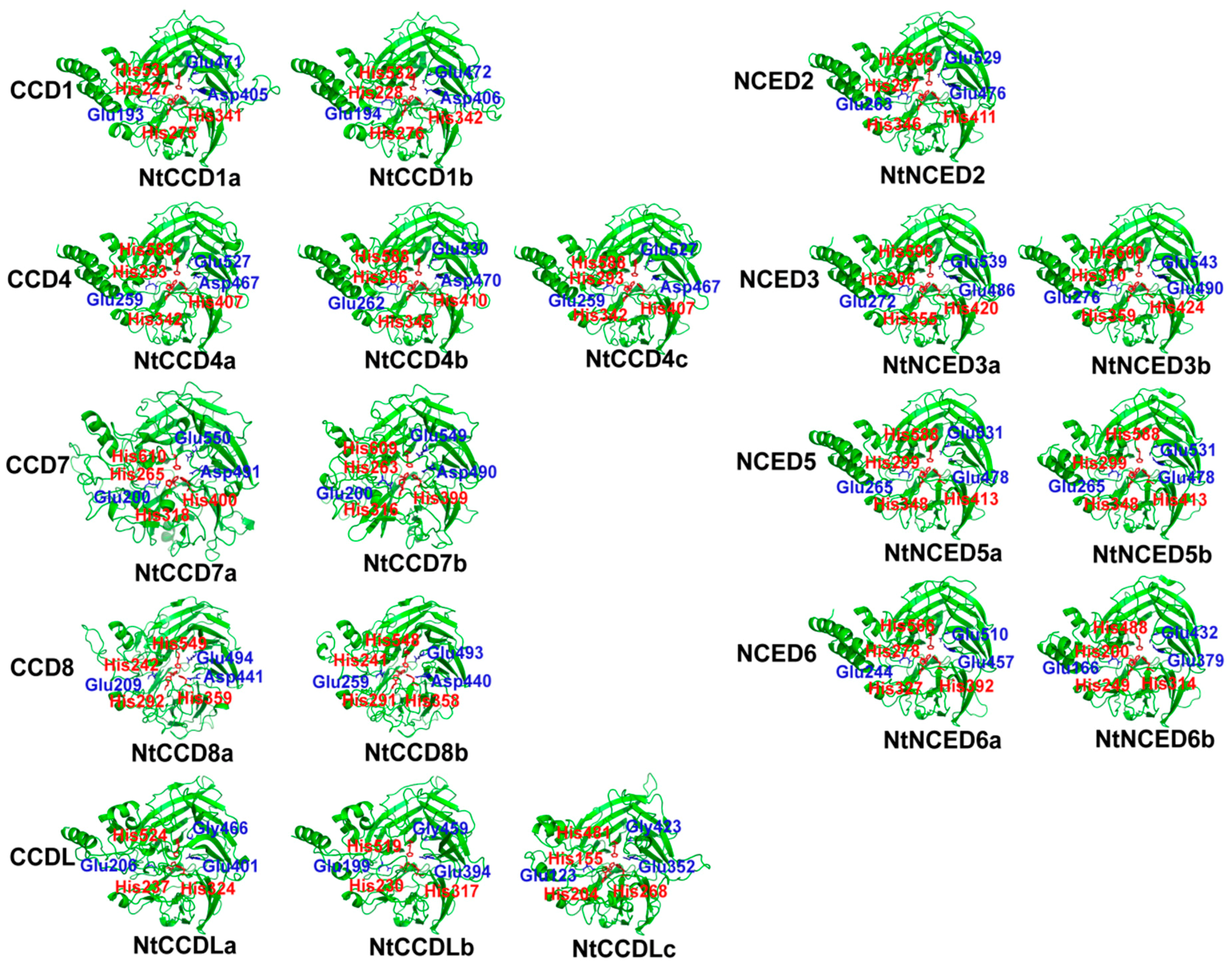 Ijms 20 05796 g004 Ijms 20 05796 g004