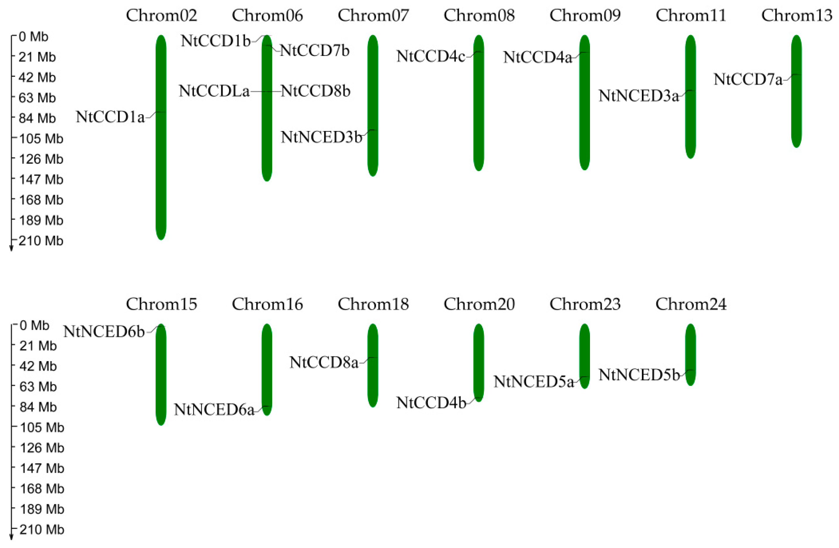 Ijms 20 05796 g005 Ijms 20 05796 g005