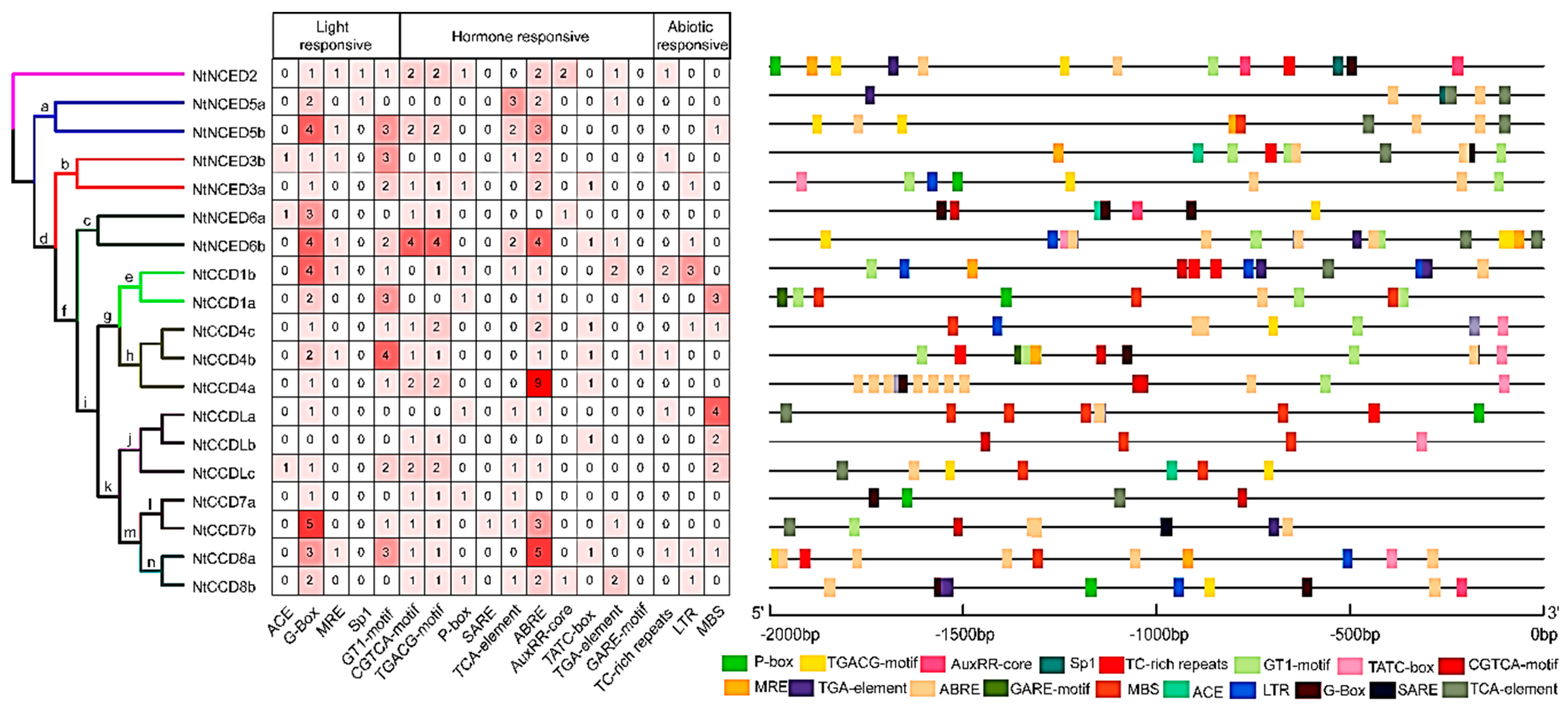 Ijms 20 05796 g008 Ijms 20 05796 g008