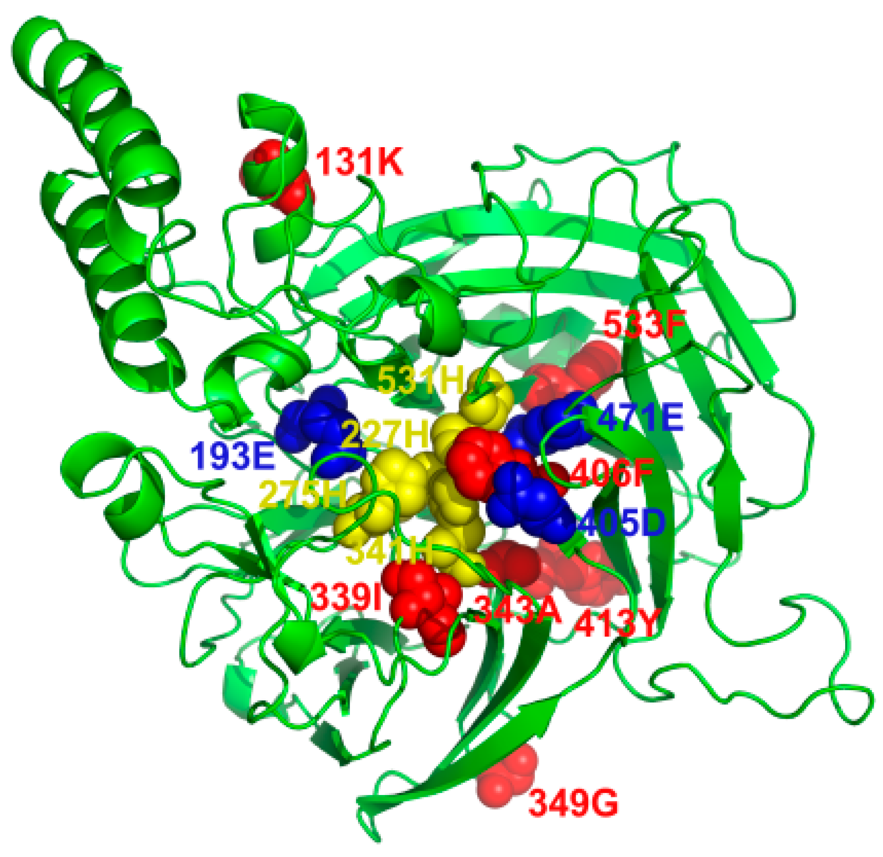 Ijms 20 05796 g011 Ijms 20 05796 g011