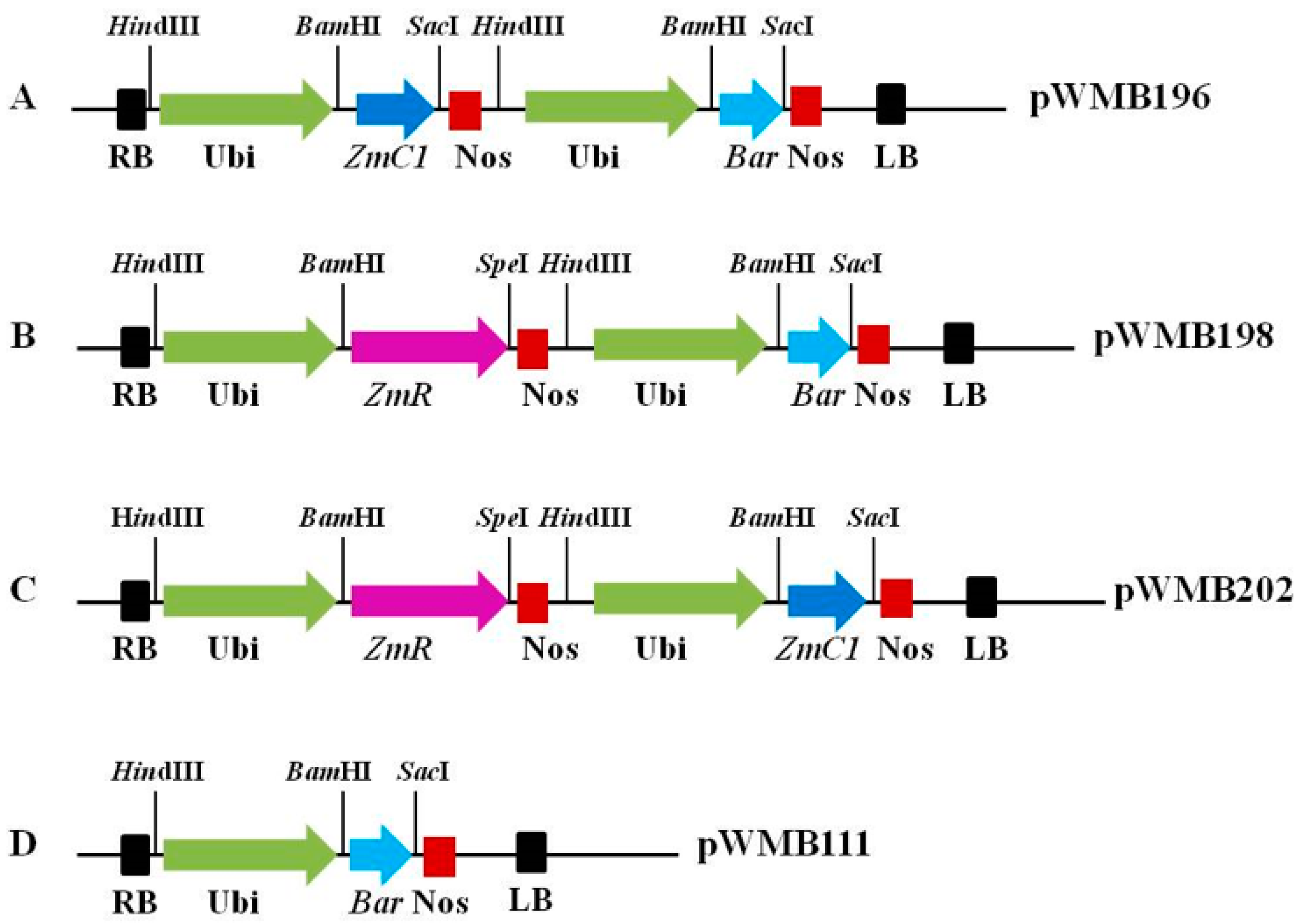 Ijms 20 05806 g001