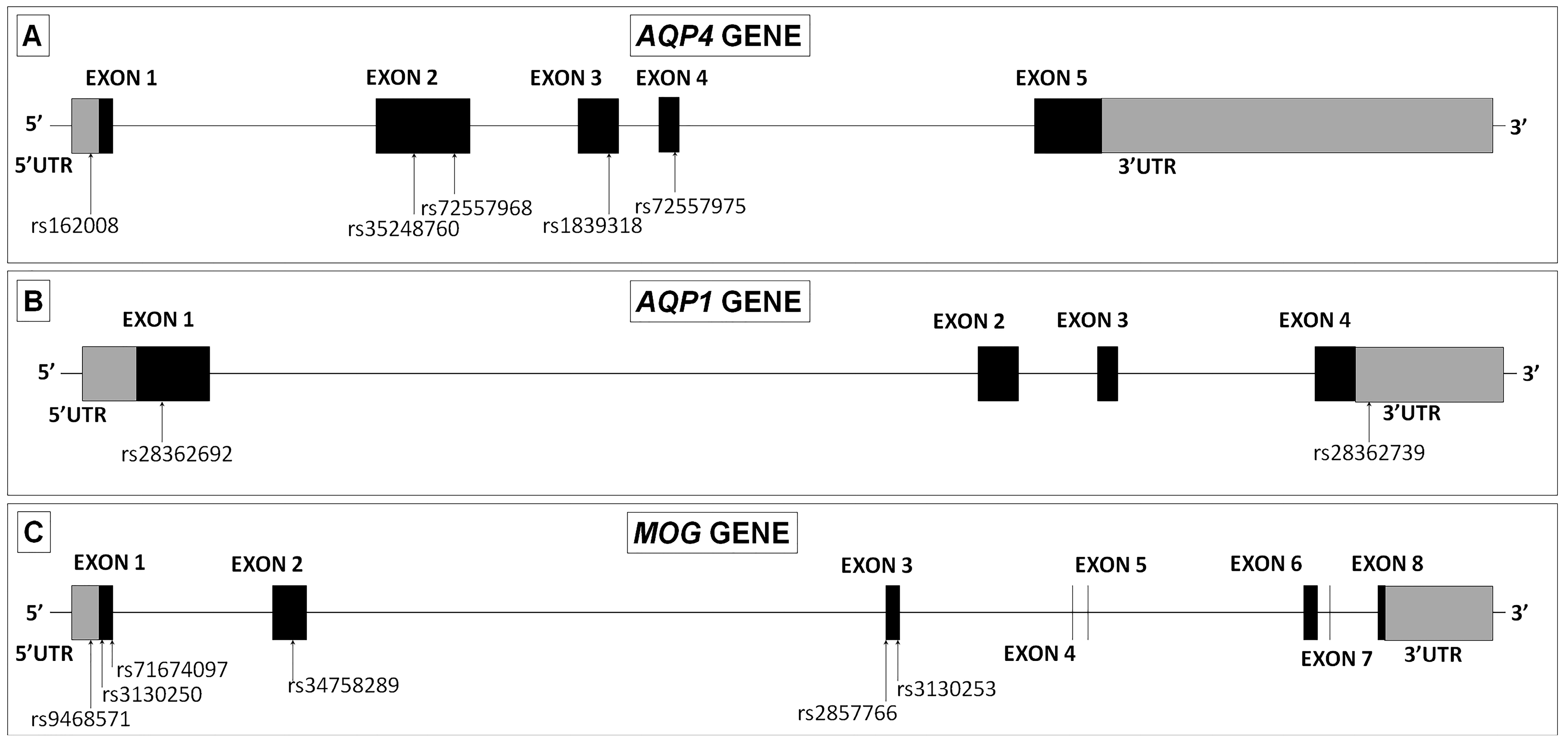 Ijms 20 05810 g005 Ijms 20 05810 g005