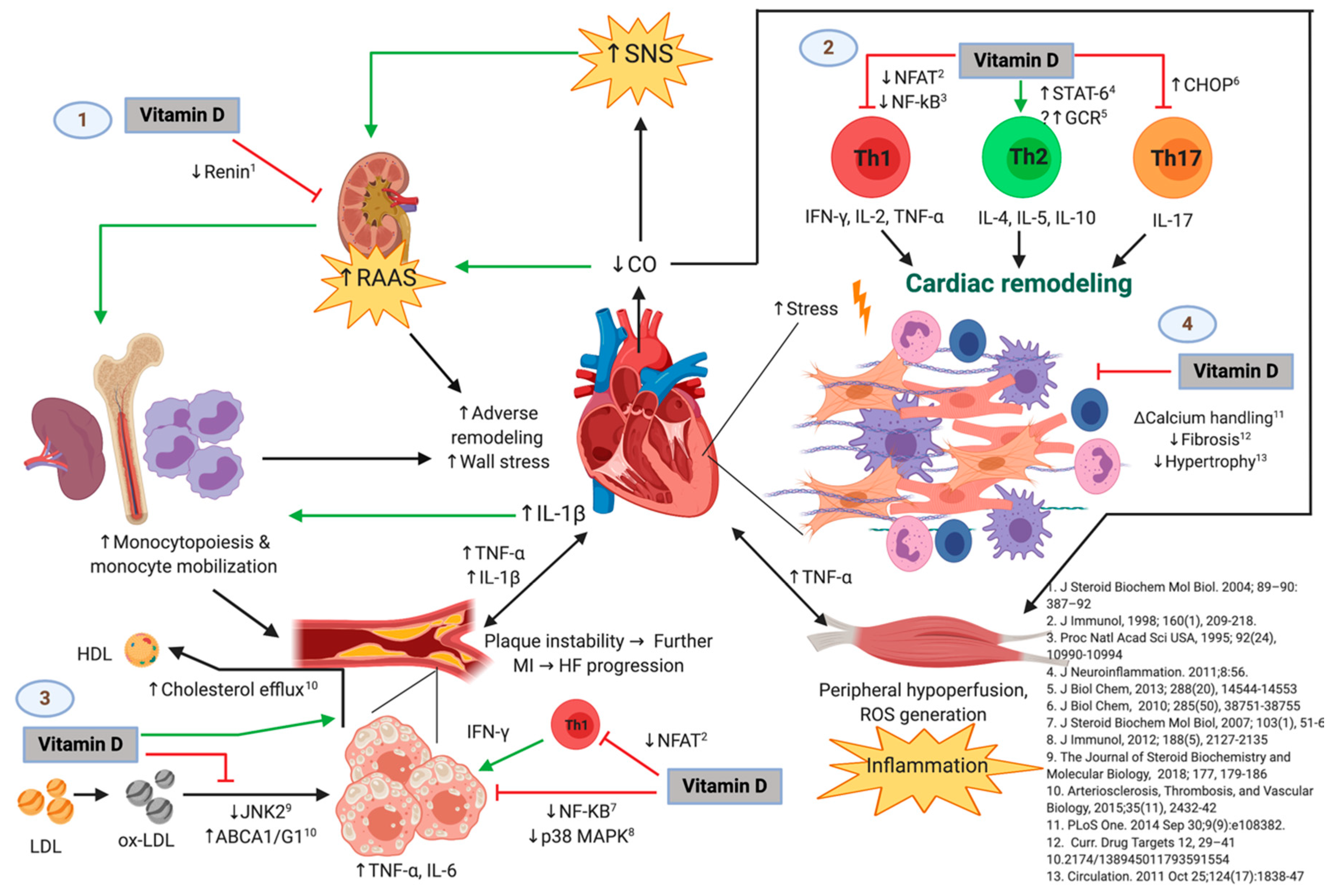 emmer Donder Profeet IJMS | Free Full-Text | Correlation of Vitamin D with Inflammatory  Cytokines, Atherosclerotic Parameters, and Lifestyle Factors in the Setting  of Heart Failure: A 12-Month Follow-Up Study | HTML