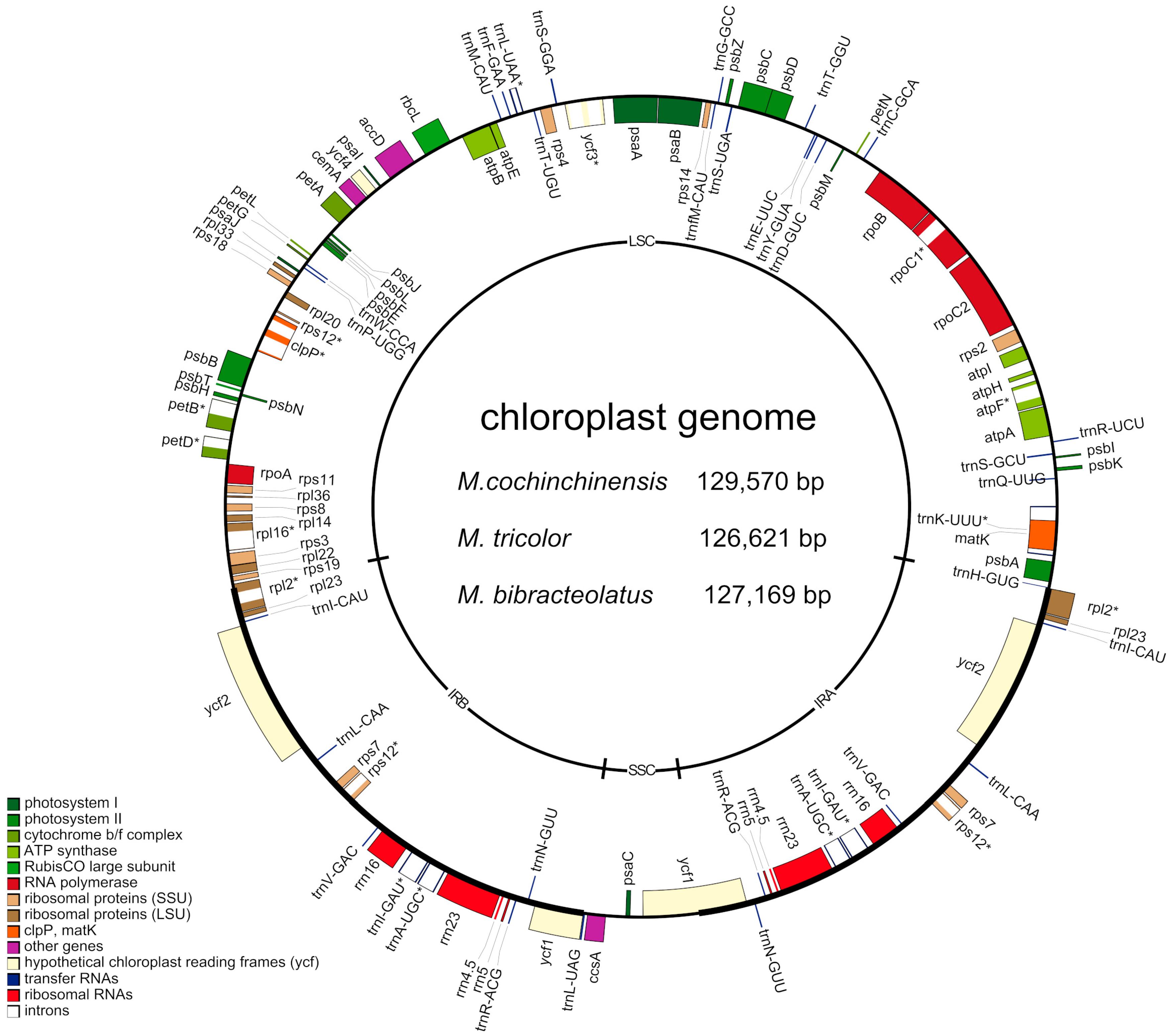 Ijms 20 05812 g002 Ijms 20 05812 g002