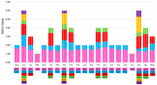 Bridge By Gly Size Chart