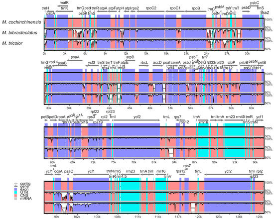 Arrow Staple Cross Reference Chart