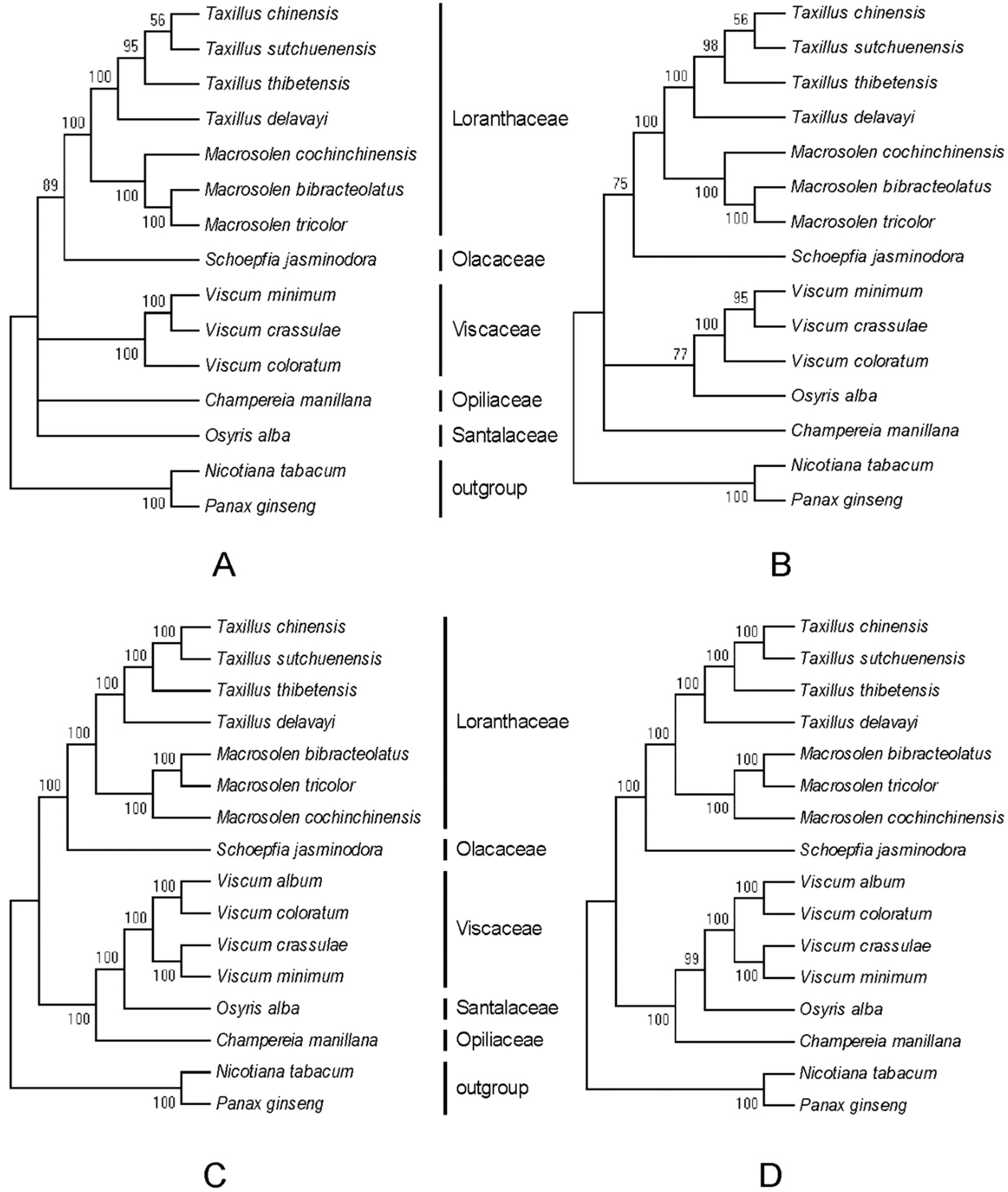 Ijms 20 05812 g008 Ijms 20 05812 g008