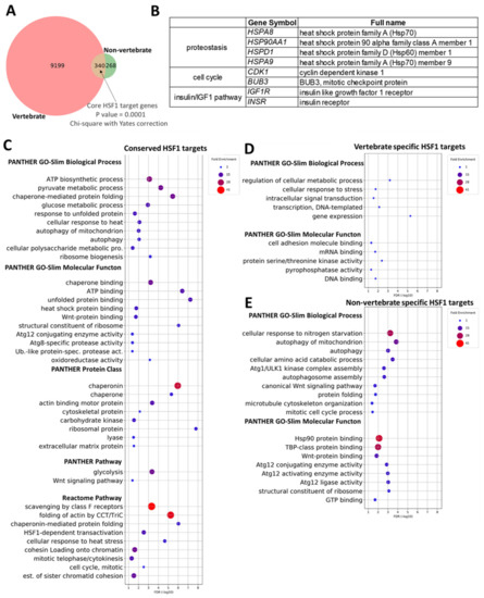 Immortal Cells Enduring Issues Claim Chart Answers