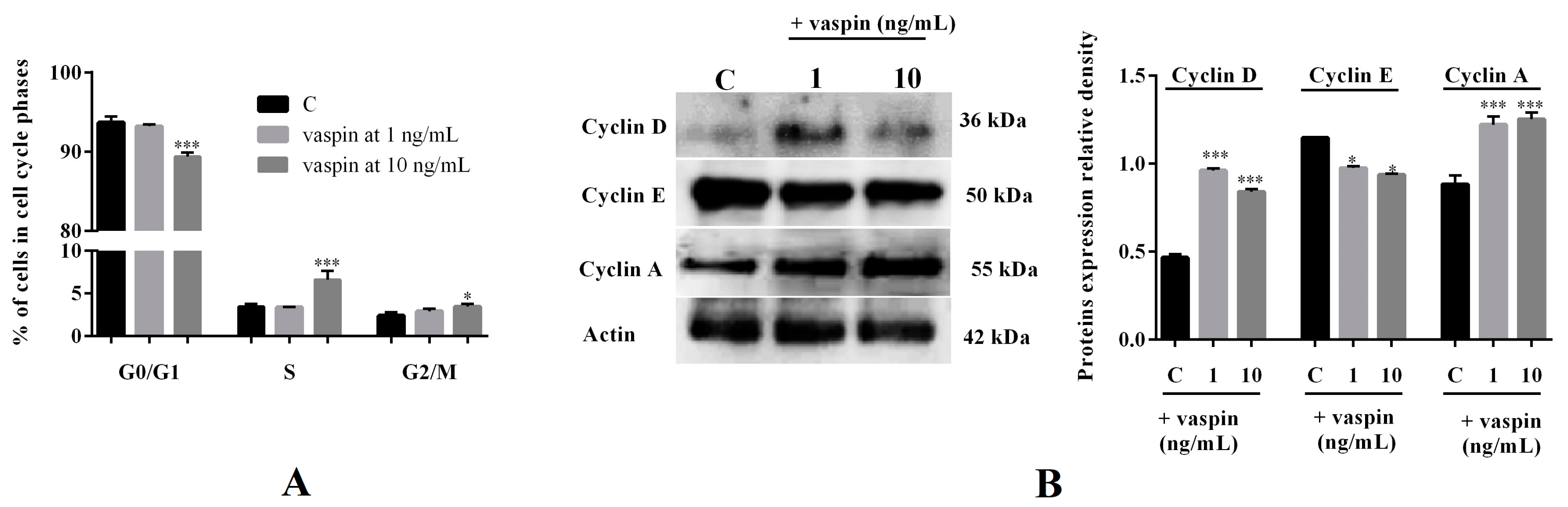 Ijms 20 05816 g002 Ijms 20 05816 g002