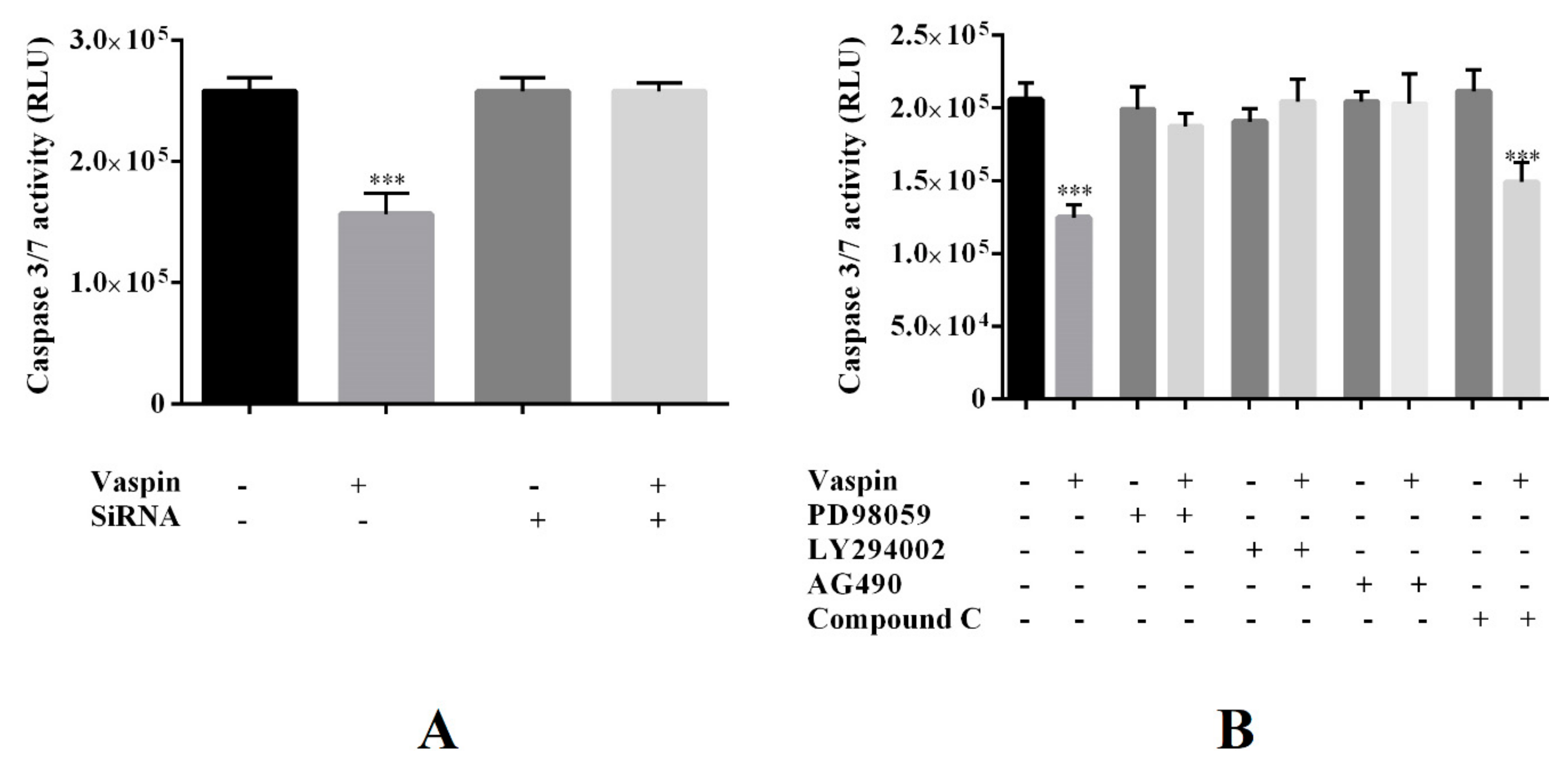 Ijms 20 05816 g006 Ijms 20 05816 g006
