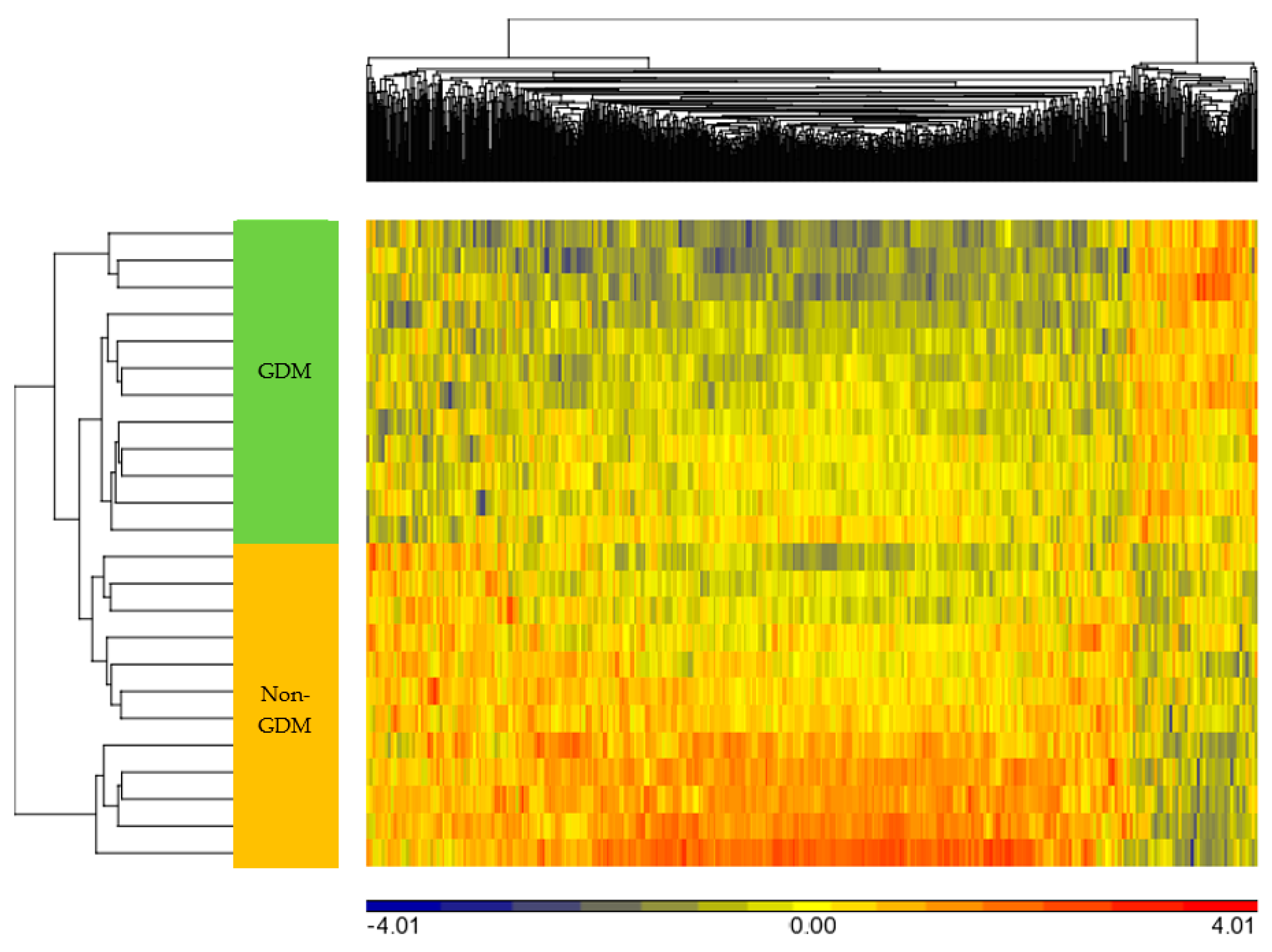 Ijms 20 05828 g004 Ijms 20 05828 g004