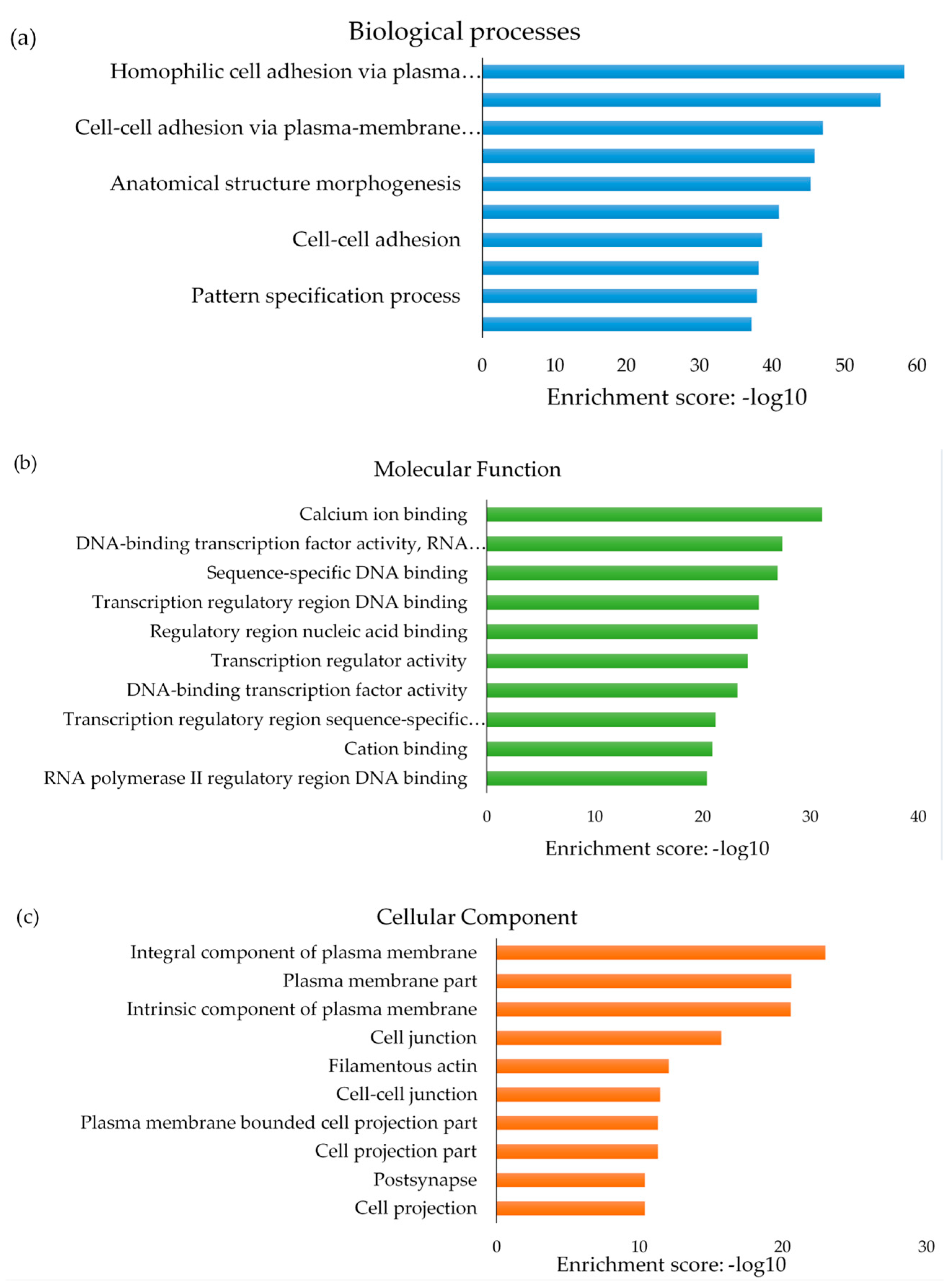 Ijms 20 05828 g006 Ijms 20 05828 g006