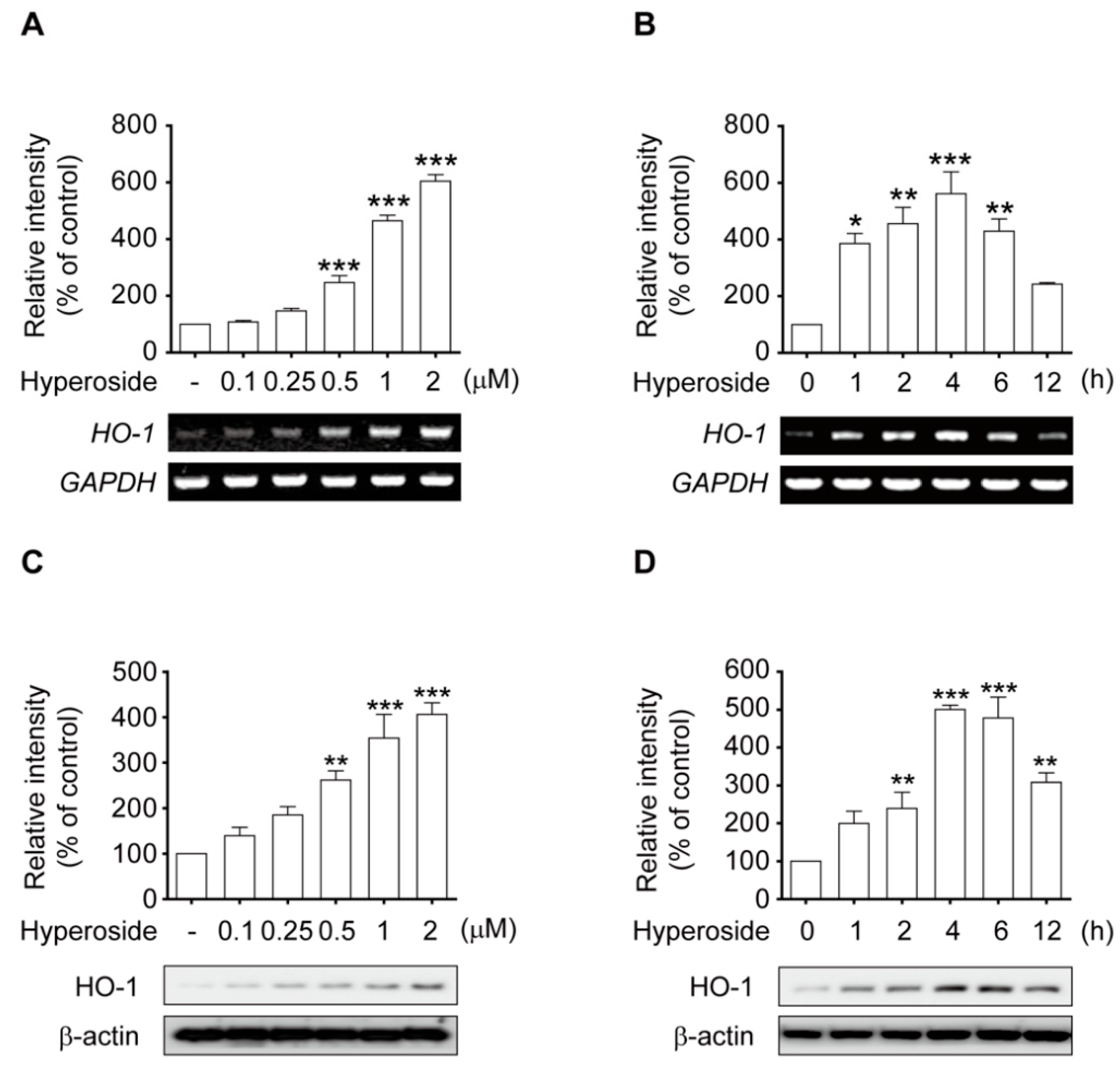 Ijms 20 05832 g005 Ijms 20 05832 g005
