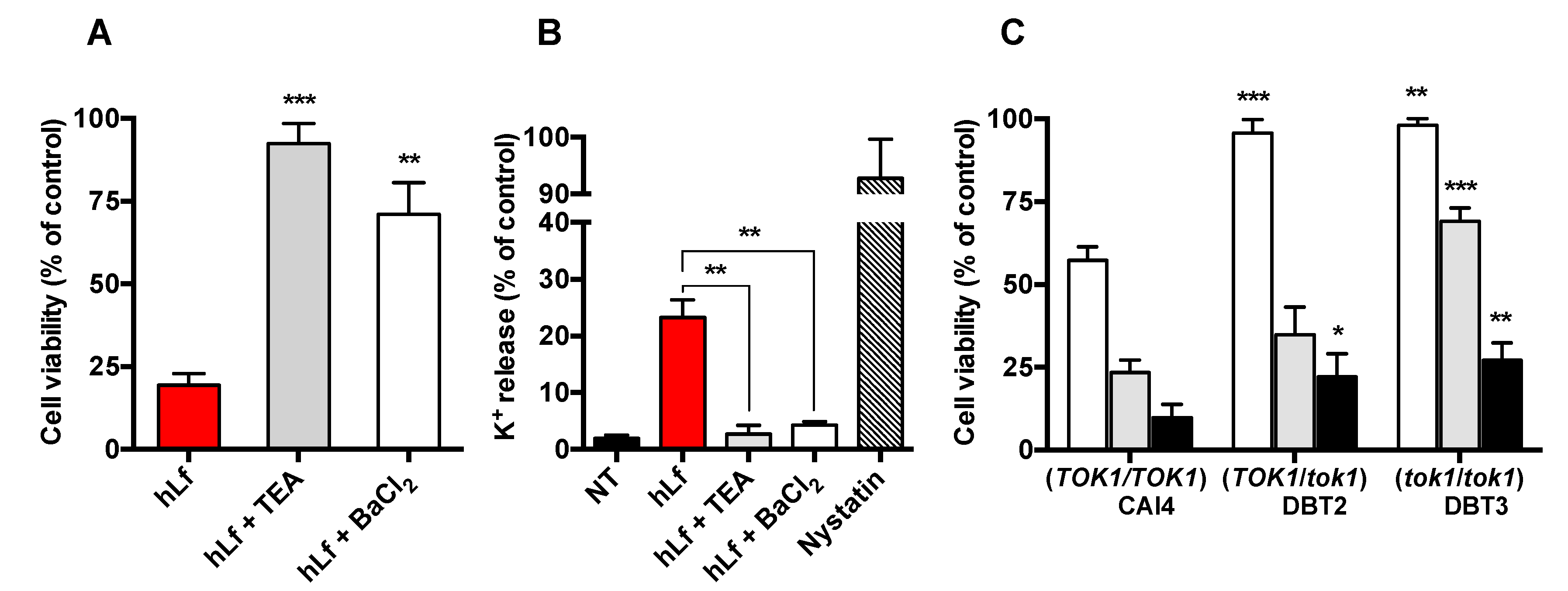 Ijms 20 05838 g002 Ijms 20 05838 g002