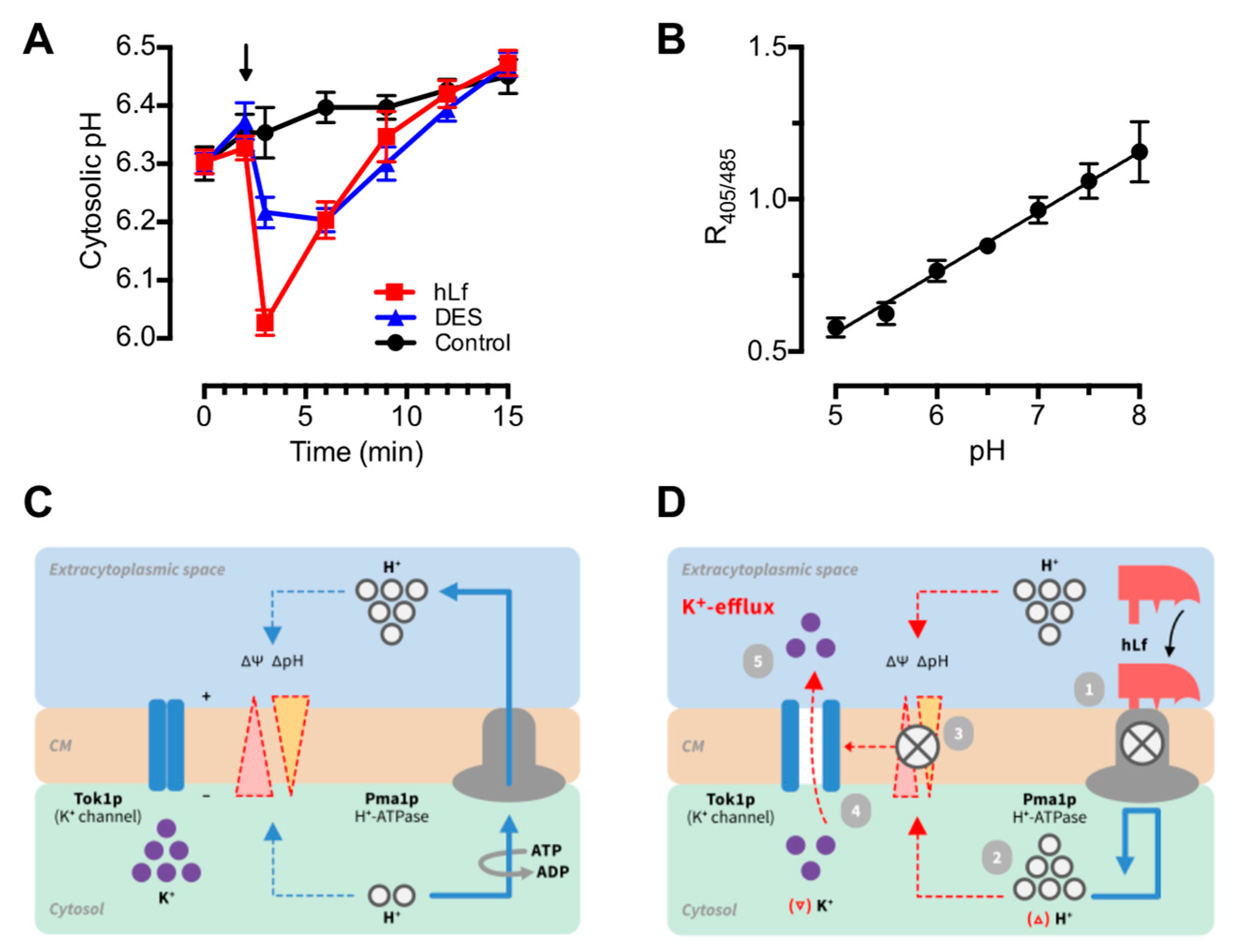 Ijms 20 05838 g004 Ijms 20 05838 g004