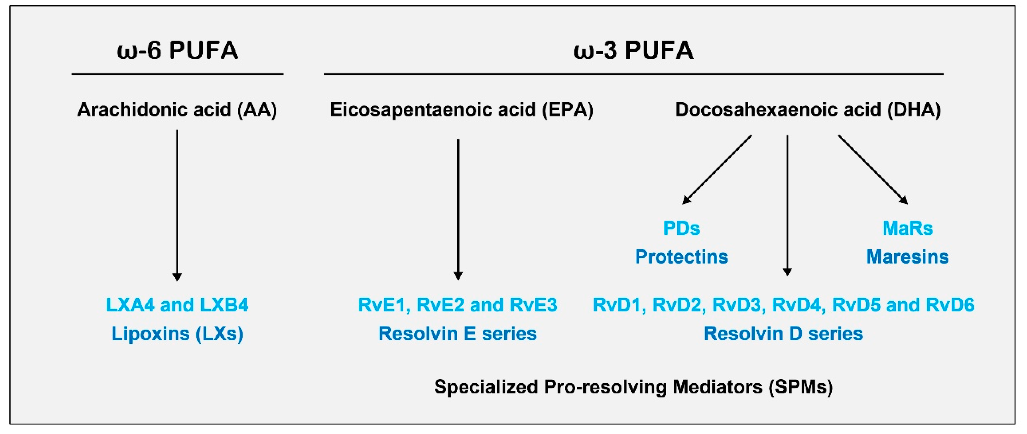 Ijms 20 05849 g001 Ijms 20 05849 g001