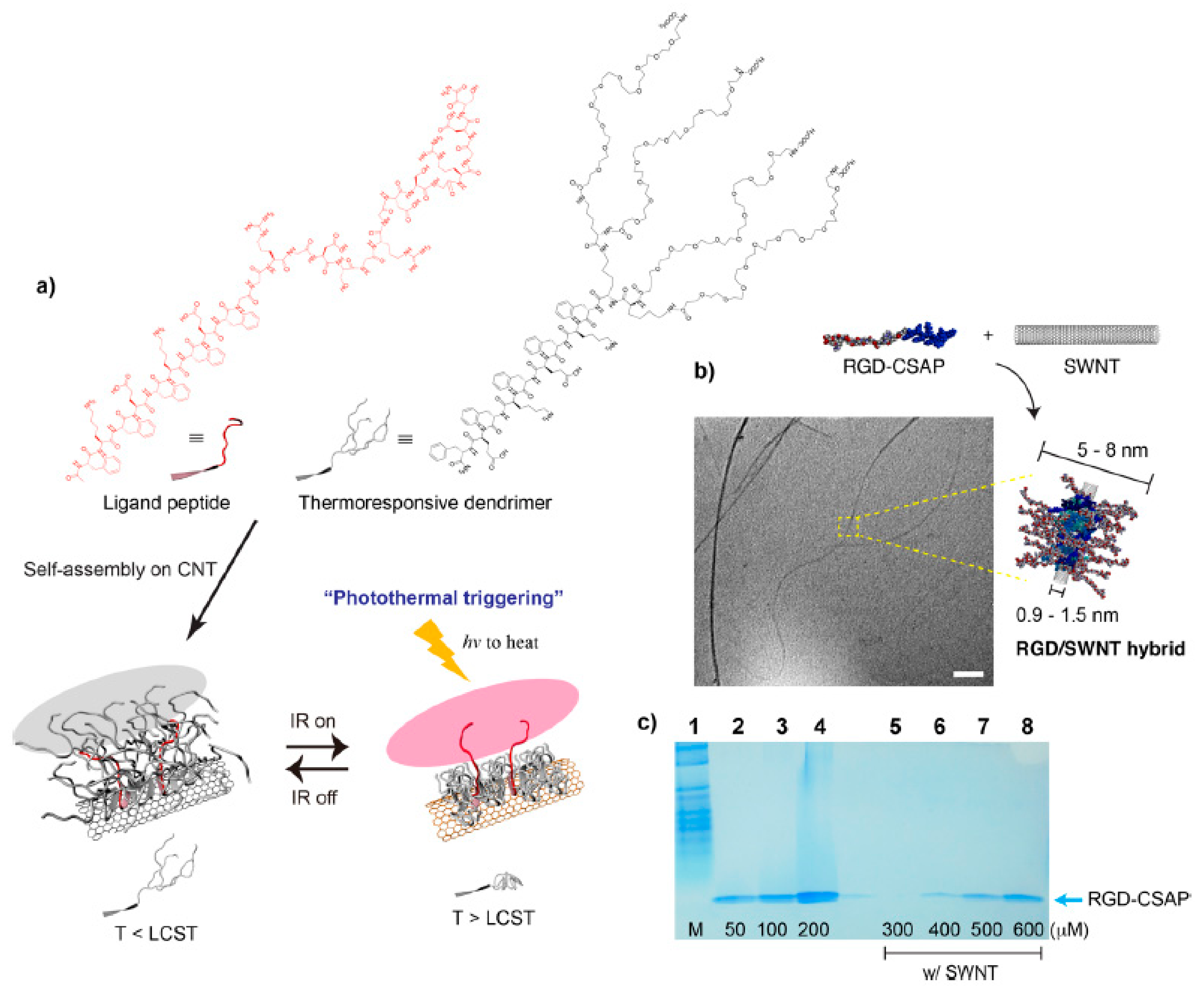 Ijms 20 05850 g002 Ijms 20 05850 g002