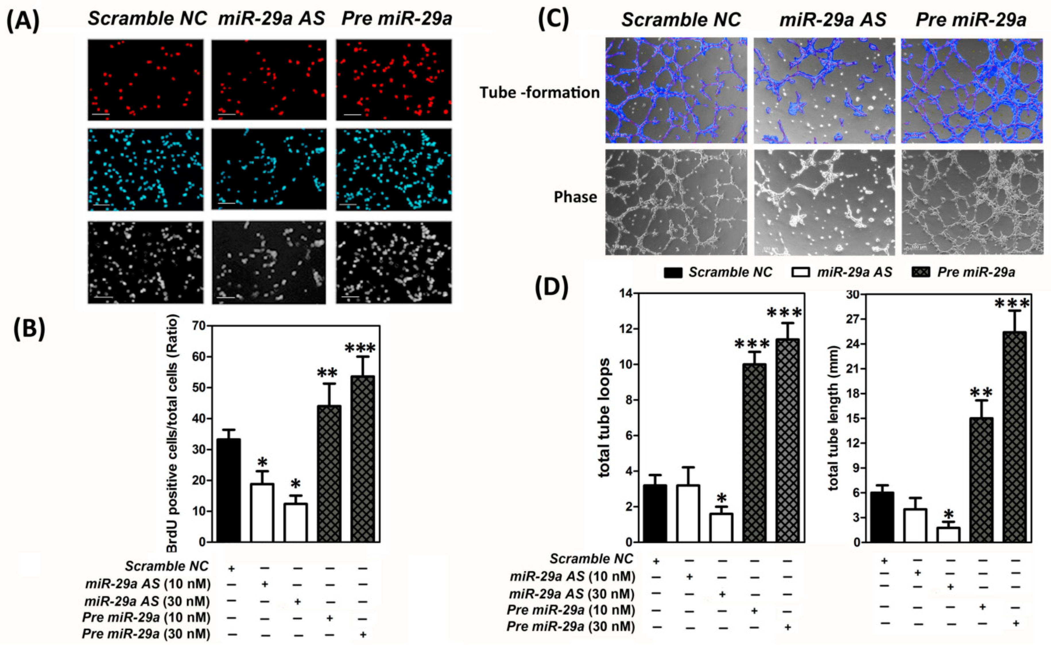 Ijms 20 05859 g002 Ijms 20 05859 g002