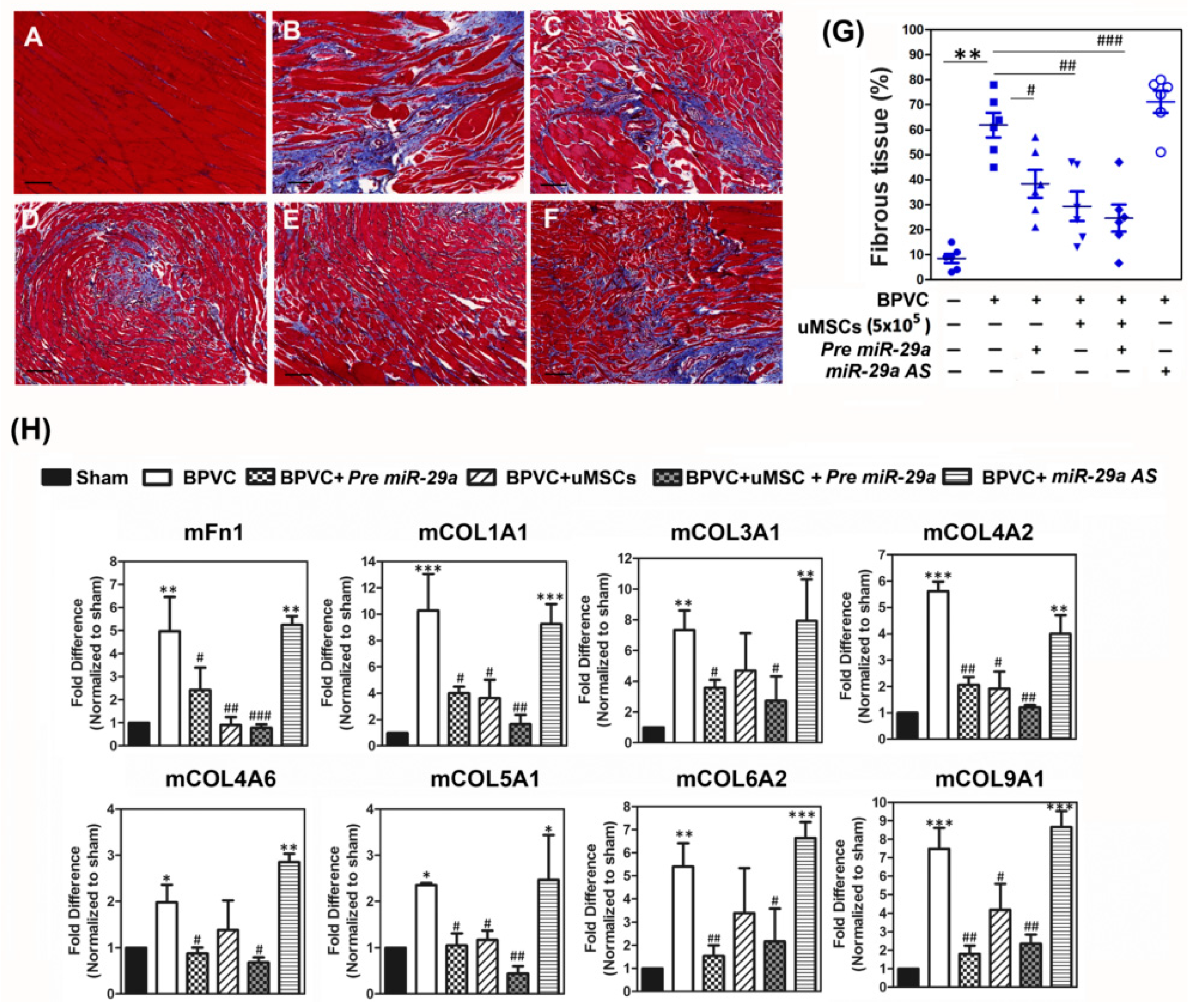 Ijms 20 05859 g005 Ijms 20 05859 g005