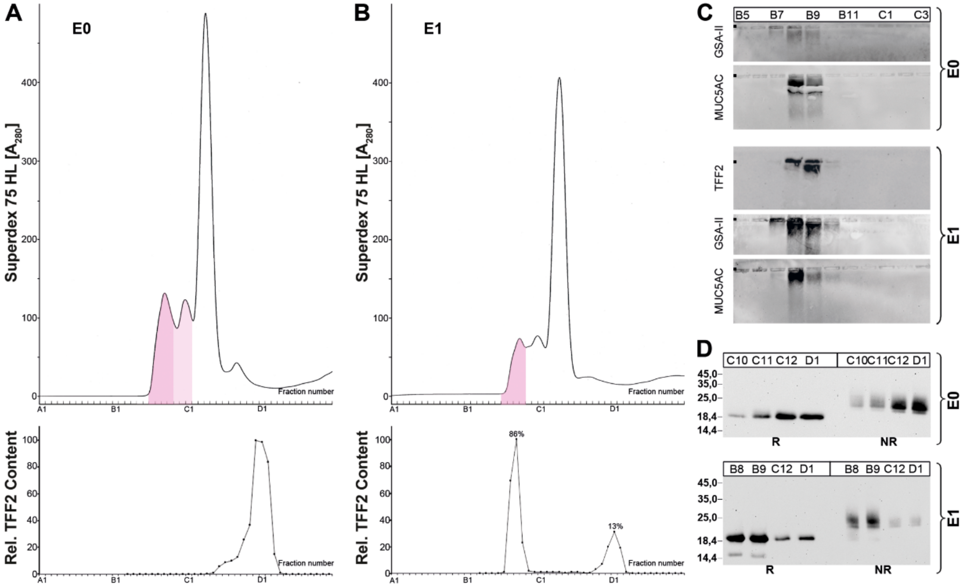 Ijms 20 05871 g004 Ijms 20 05871 g004
